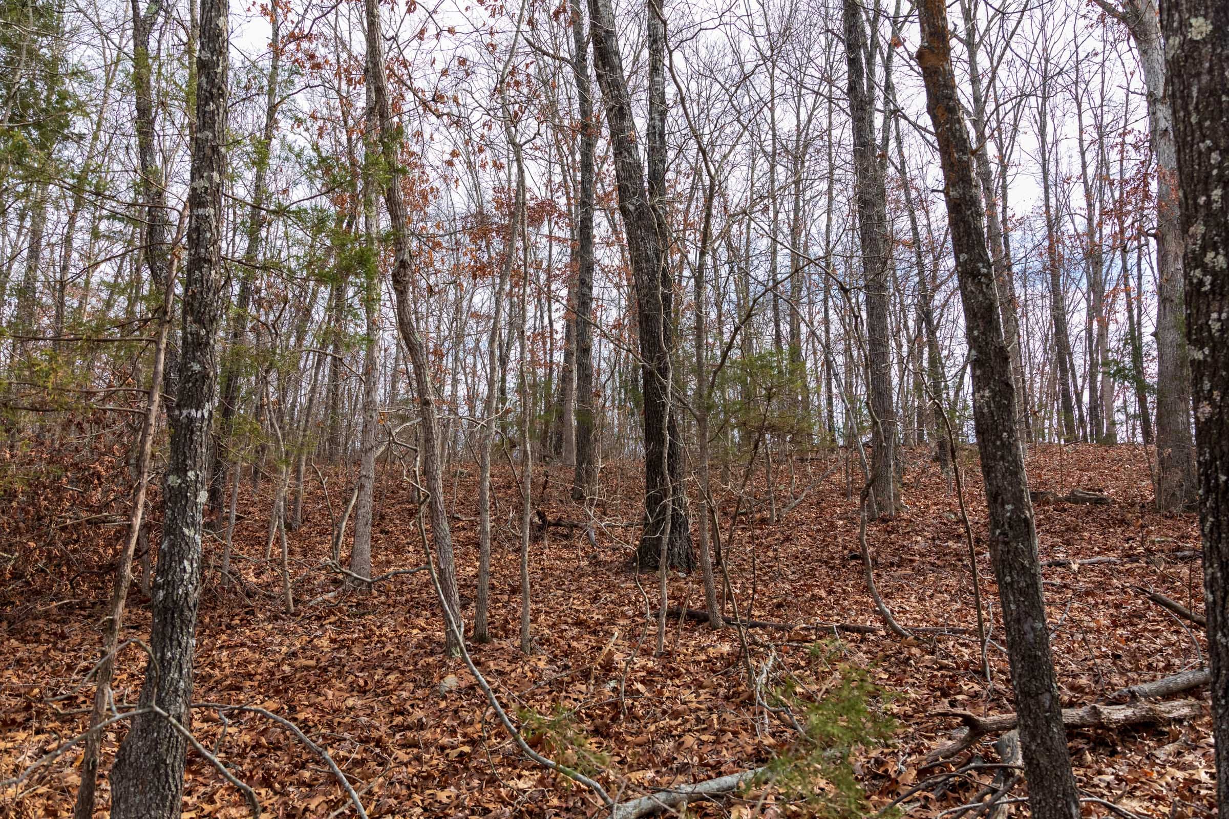 Crossroads Tract 19 photo 11