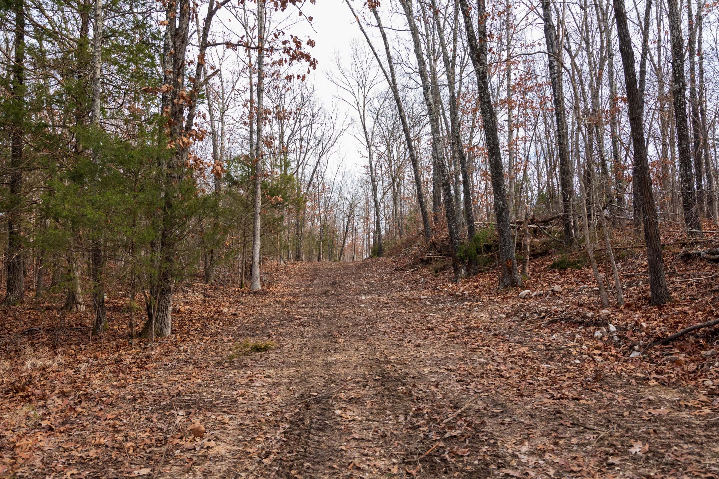 Crossroads Tract 19 photo 2