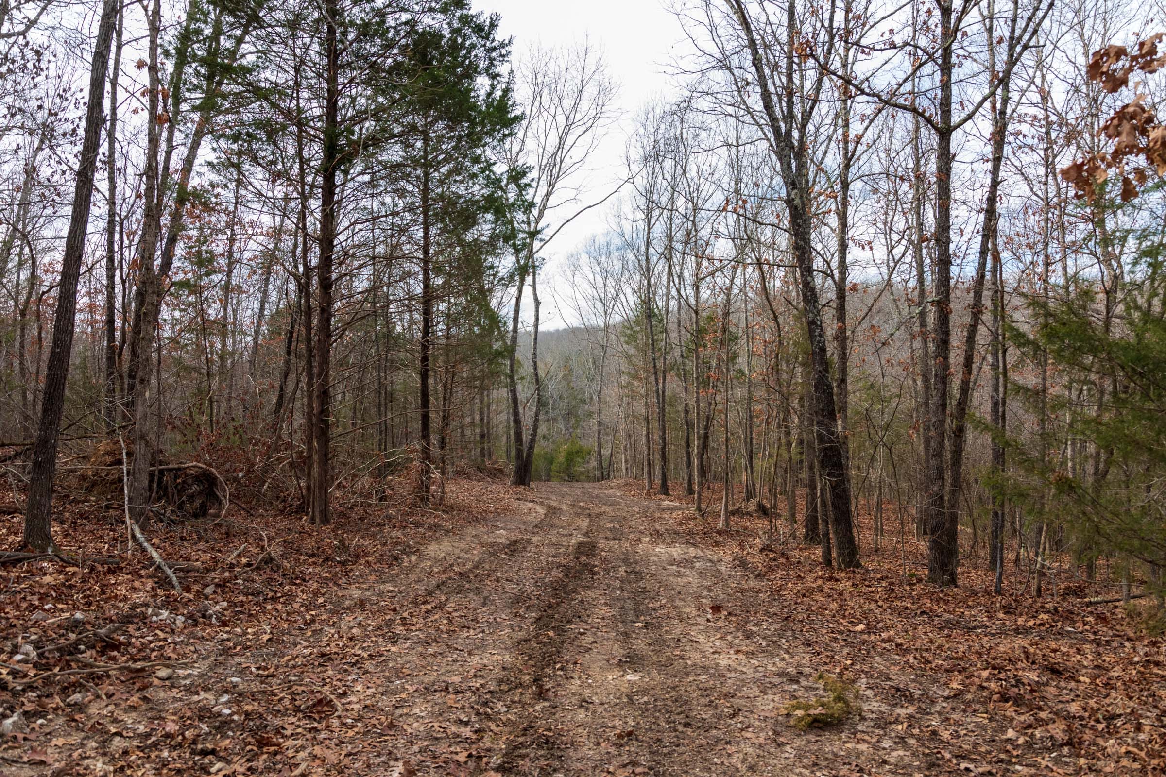 Crossroads Tract 19 photo 12