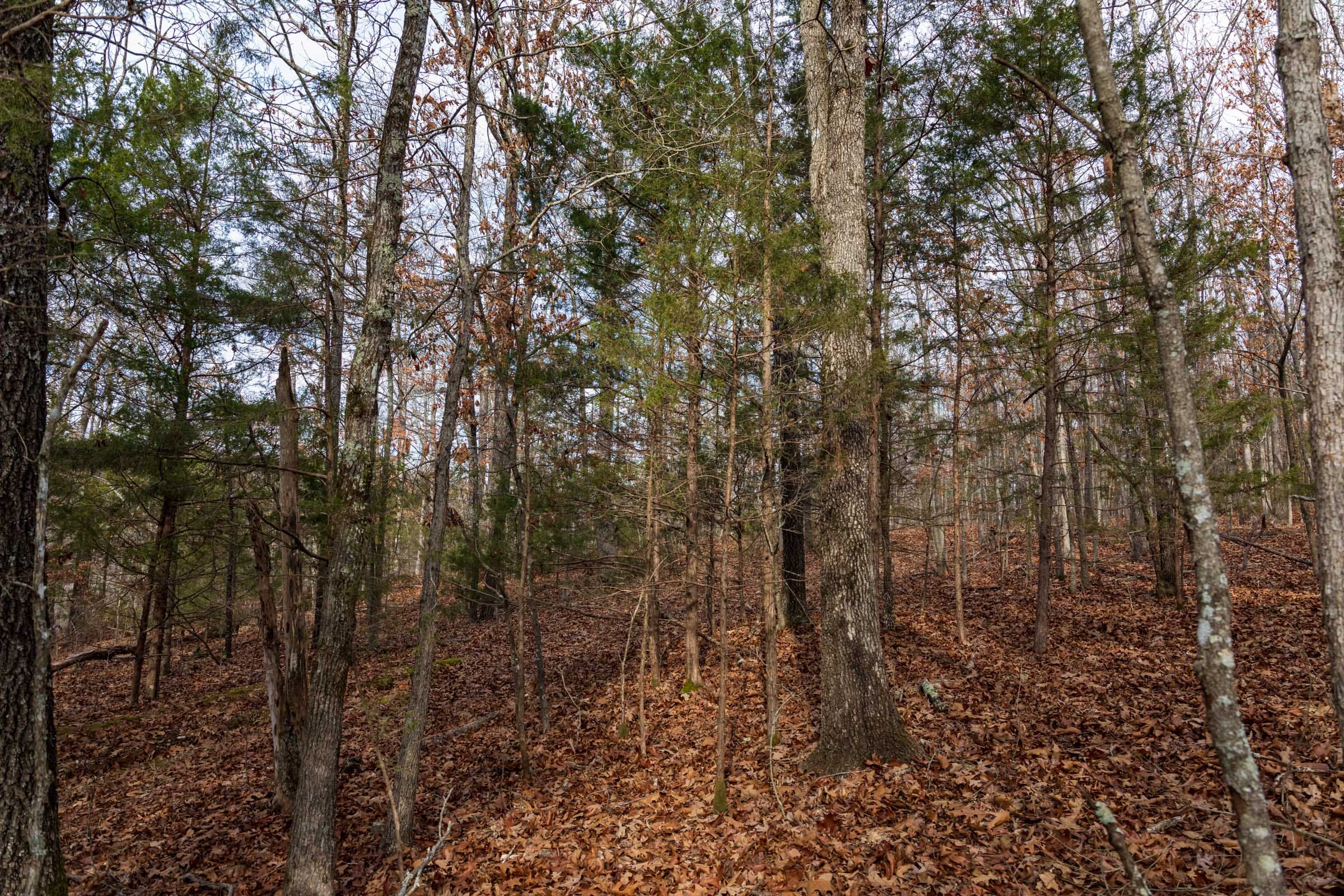 Crossroads Tract 19 photo 13