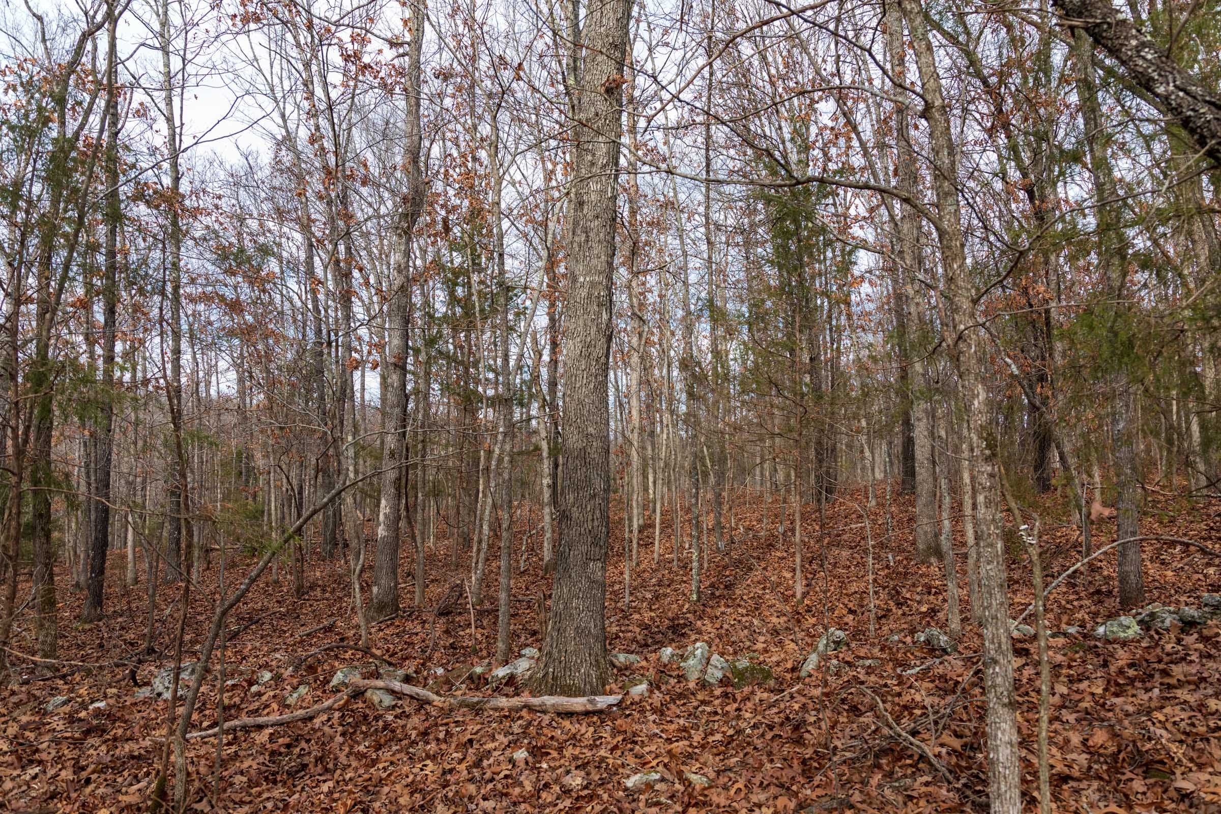 Crossroads Tract 19 photo 14