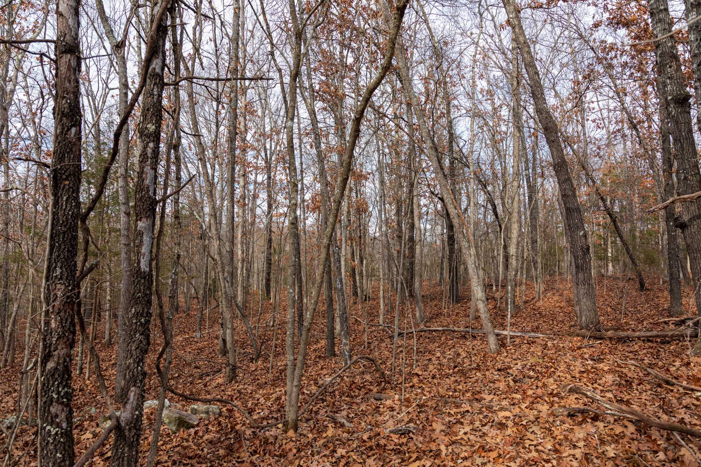 Crossroads Tract 19 photo 15