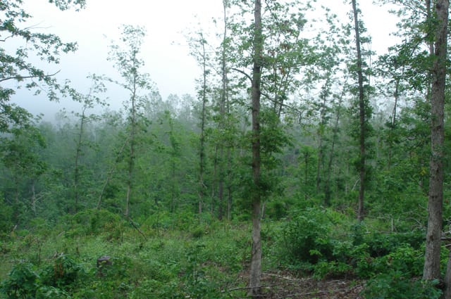 Deer Valley Tract 10 photo 4