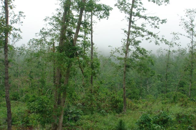 Deer Valley Tract 10 photo 5