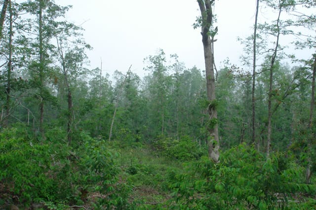 Deer Valley Tract 10 photo 6