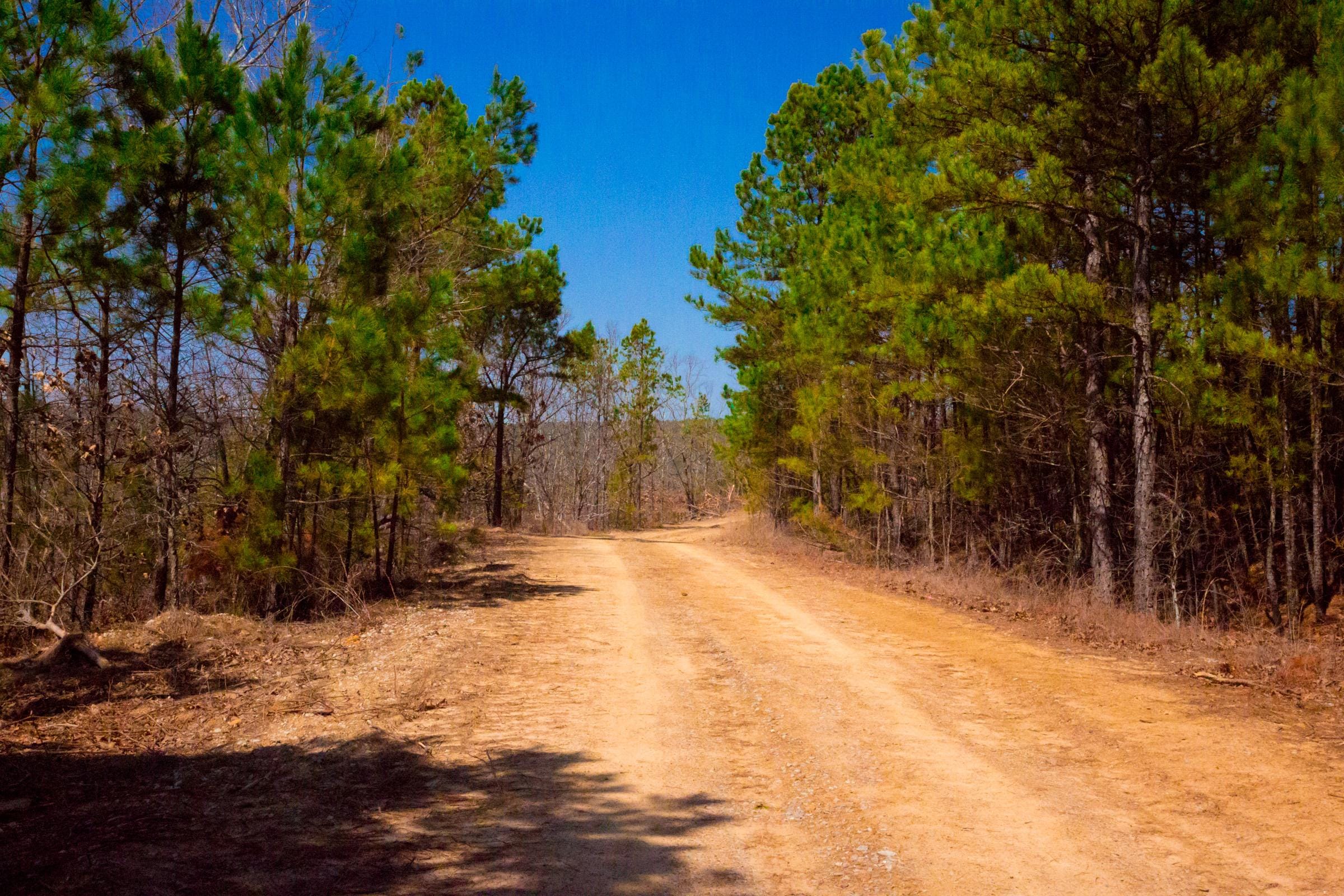 Stone Creek Phase II Tract 98 photo 2