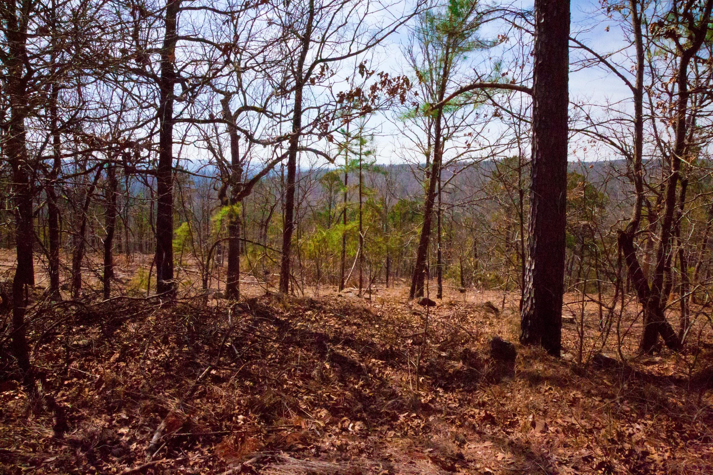 Stone Creek Phase II Tract 98 photo 3