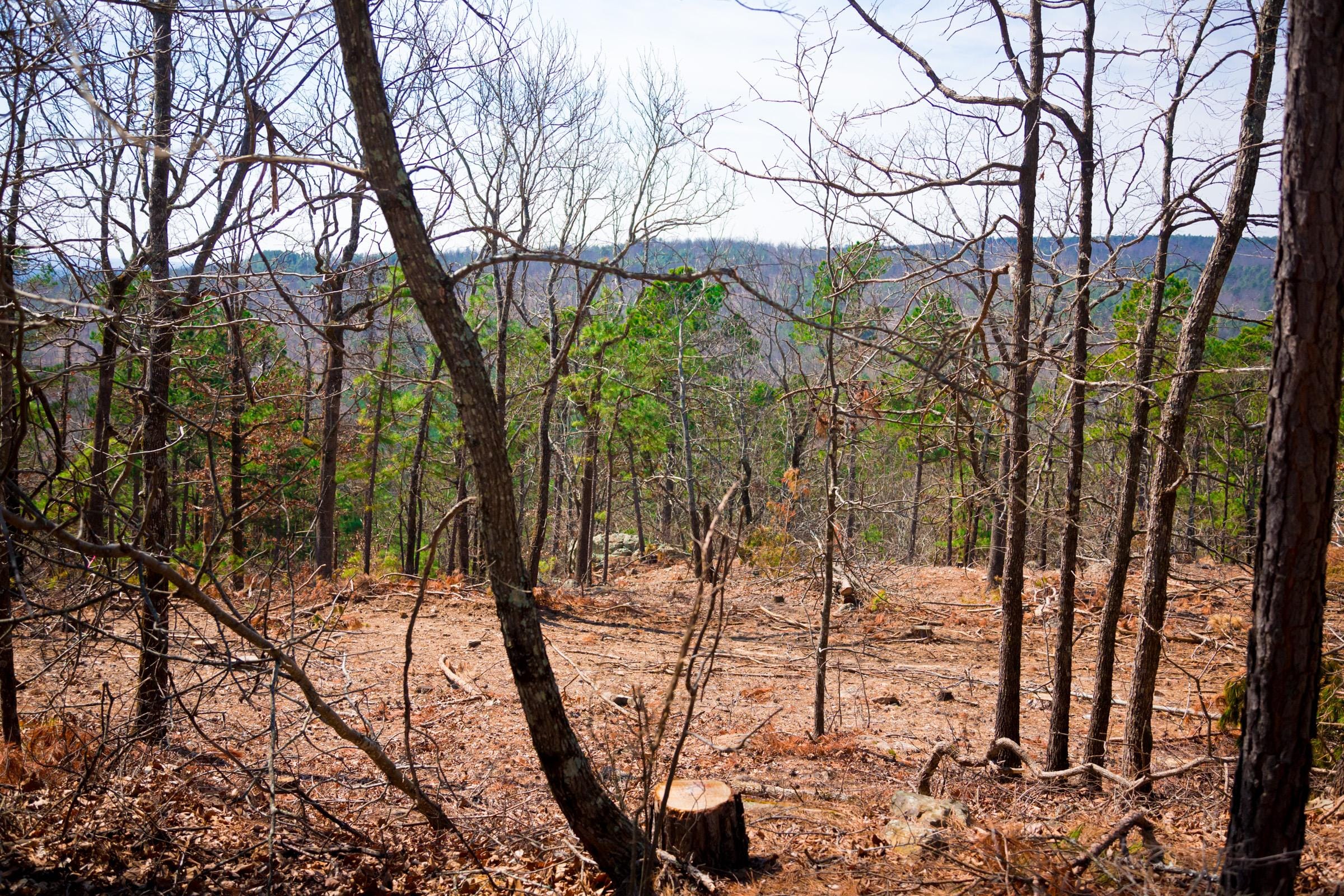 Stone Creek Phase II Tract 98 photo 5