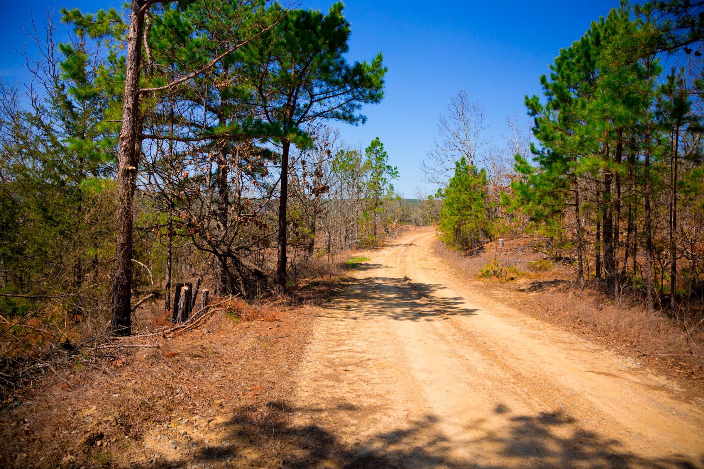 Stone Creek Phase II Tract 98 photo 6