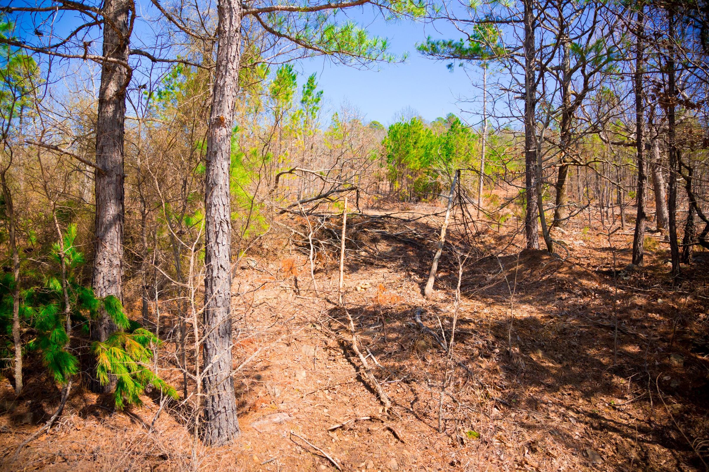 Stone Creek Phase II Tract 98 photo 7