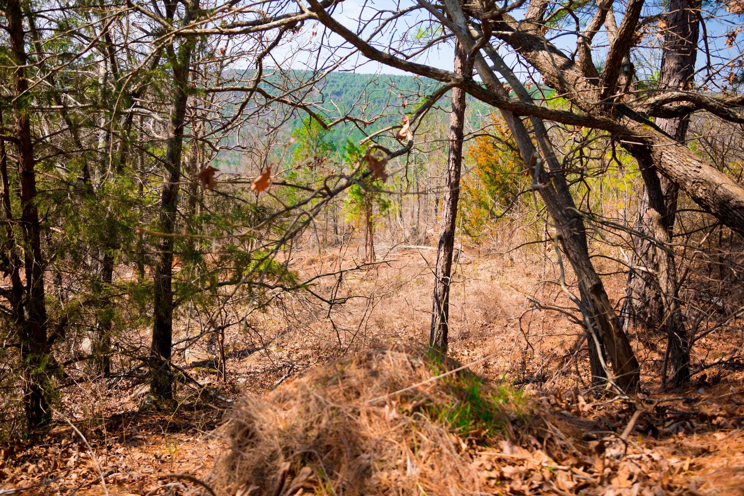 Stone Creek Phase II Tract 98 photo 8