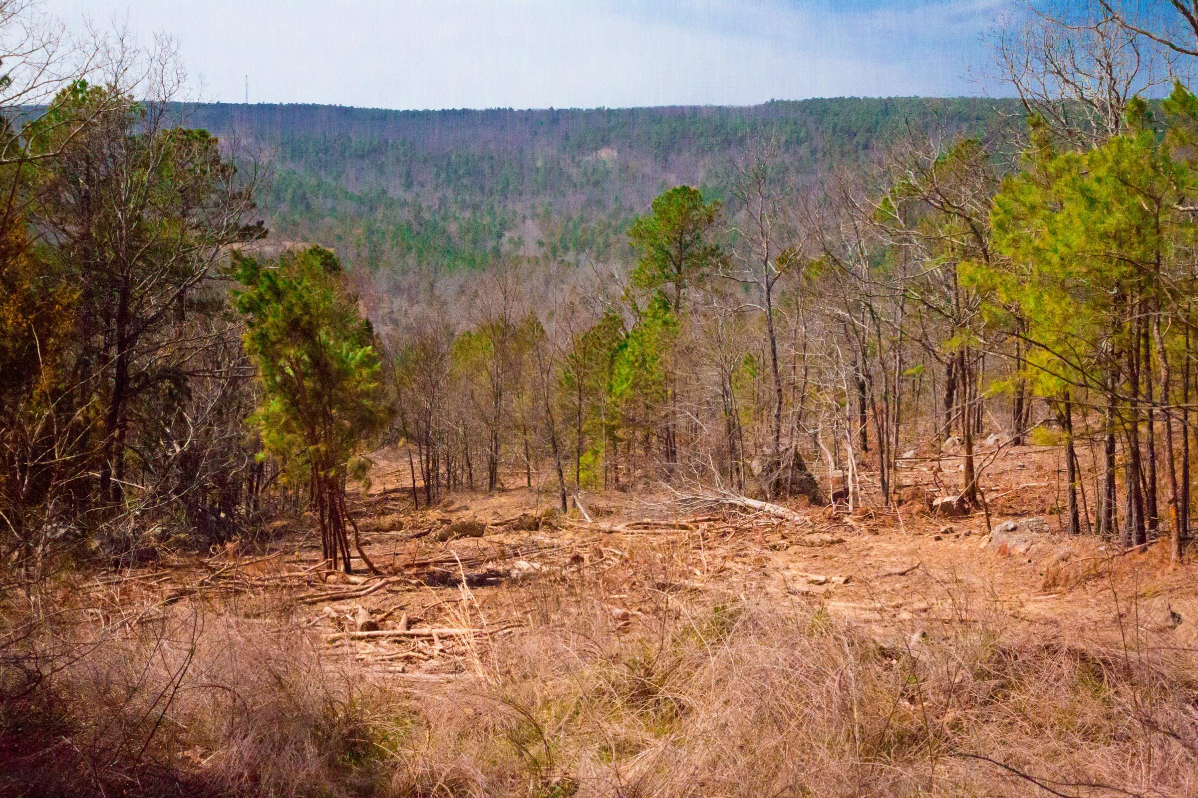 Stone Creek Phase II Tract 98 photo 9