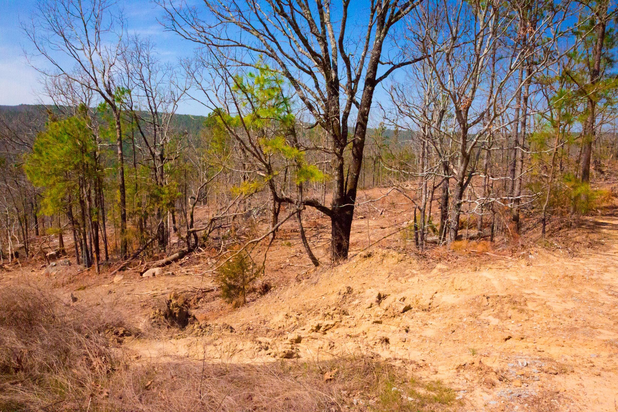 Stone Creek Phase II Tract 98 photo 10