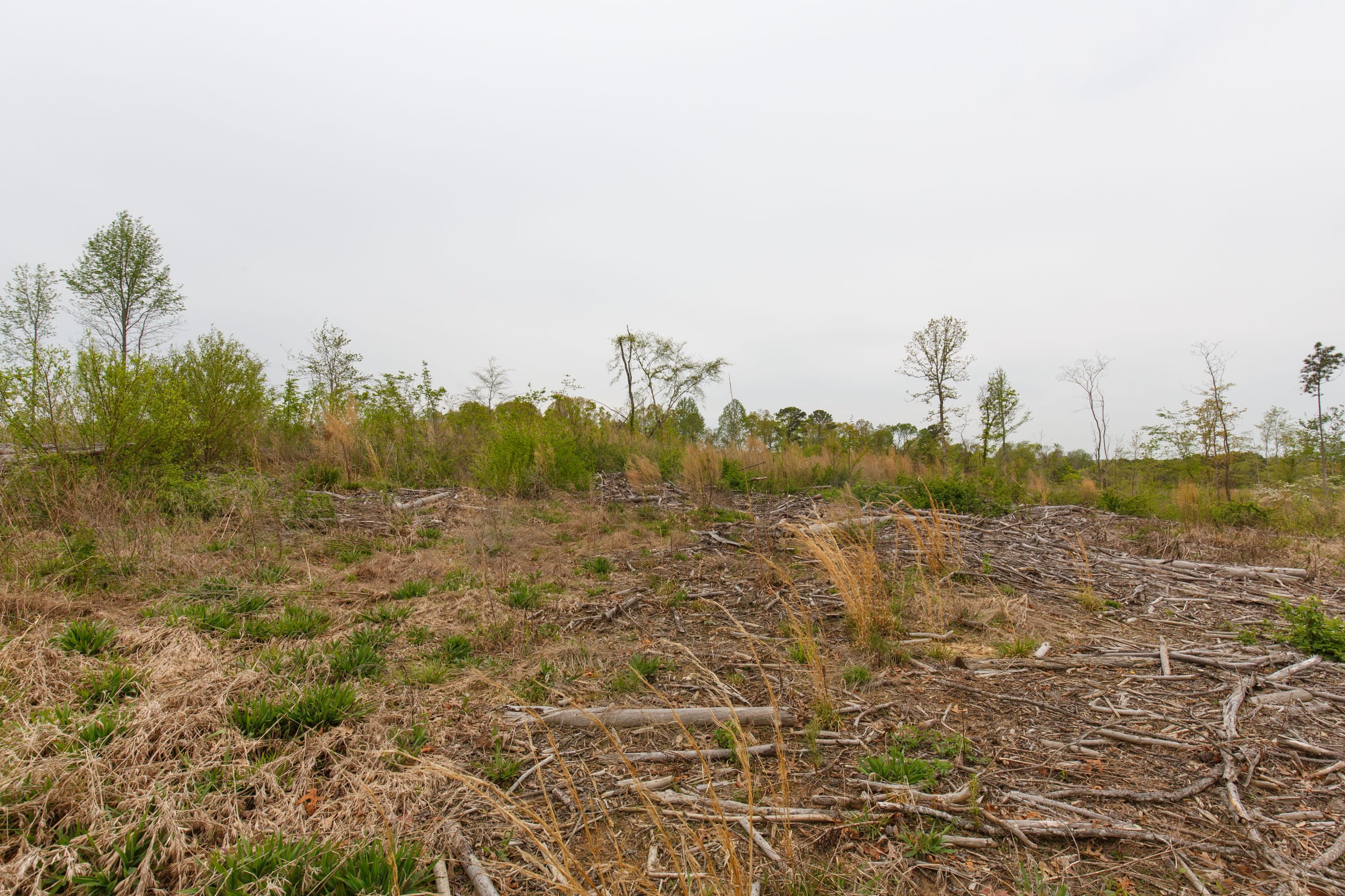 Twin Rivers Tract 24 photo 4