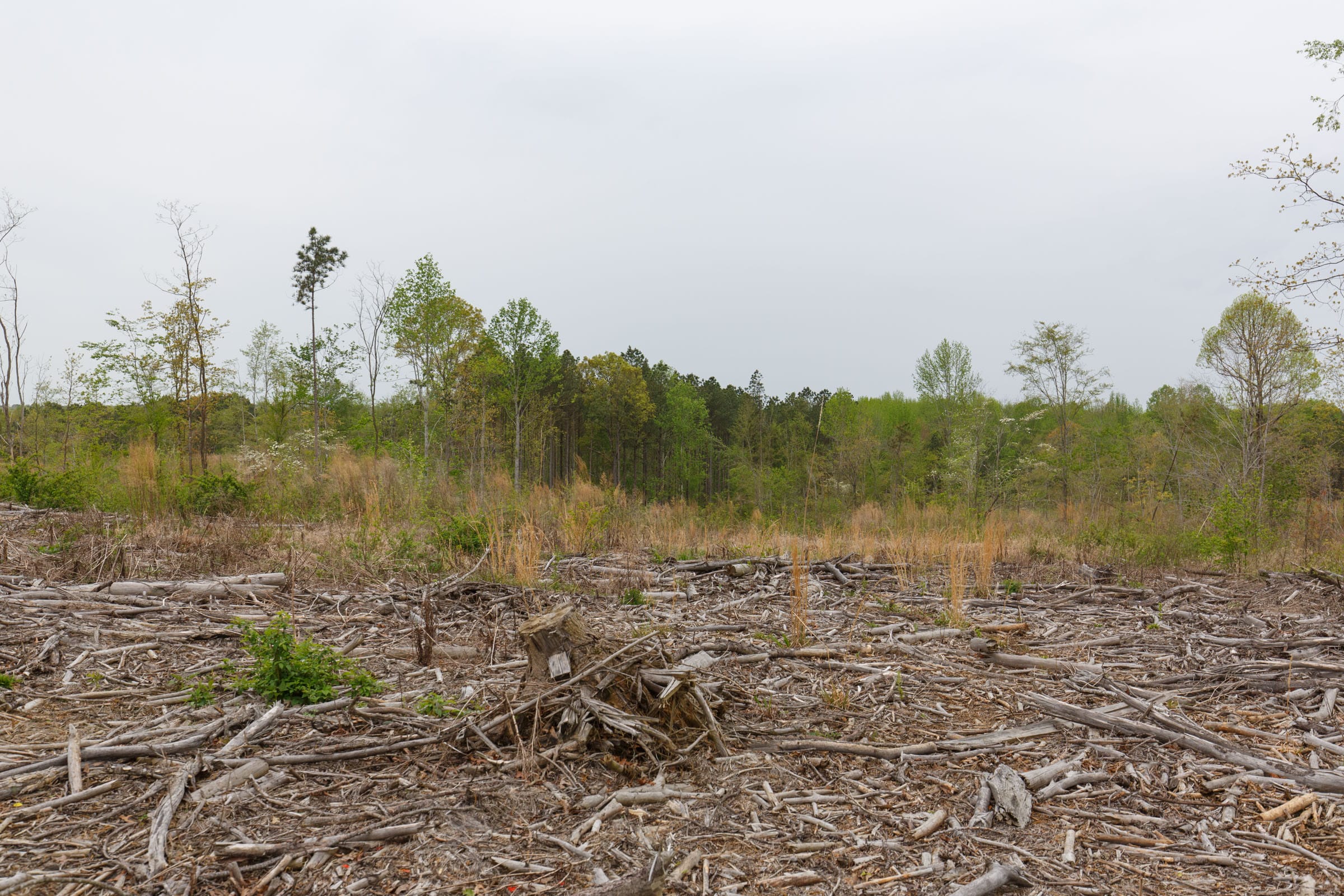 Twin Rivers Tract 24 photo 5