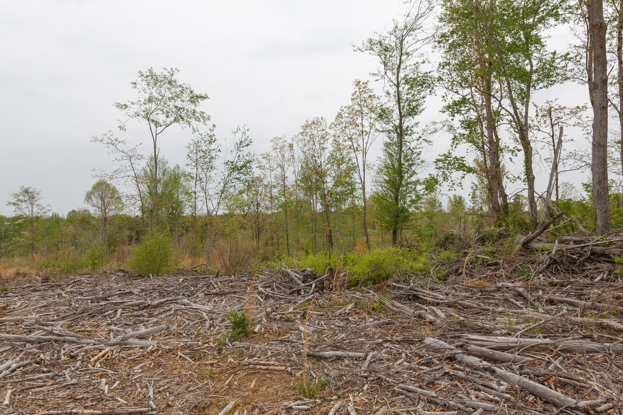 Twin Rivers Tract 24 photo 6