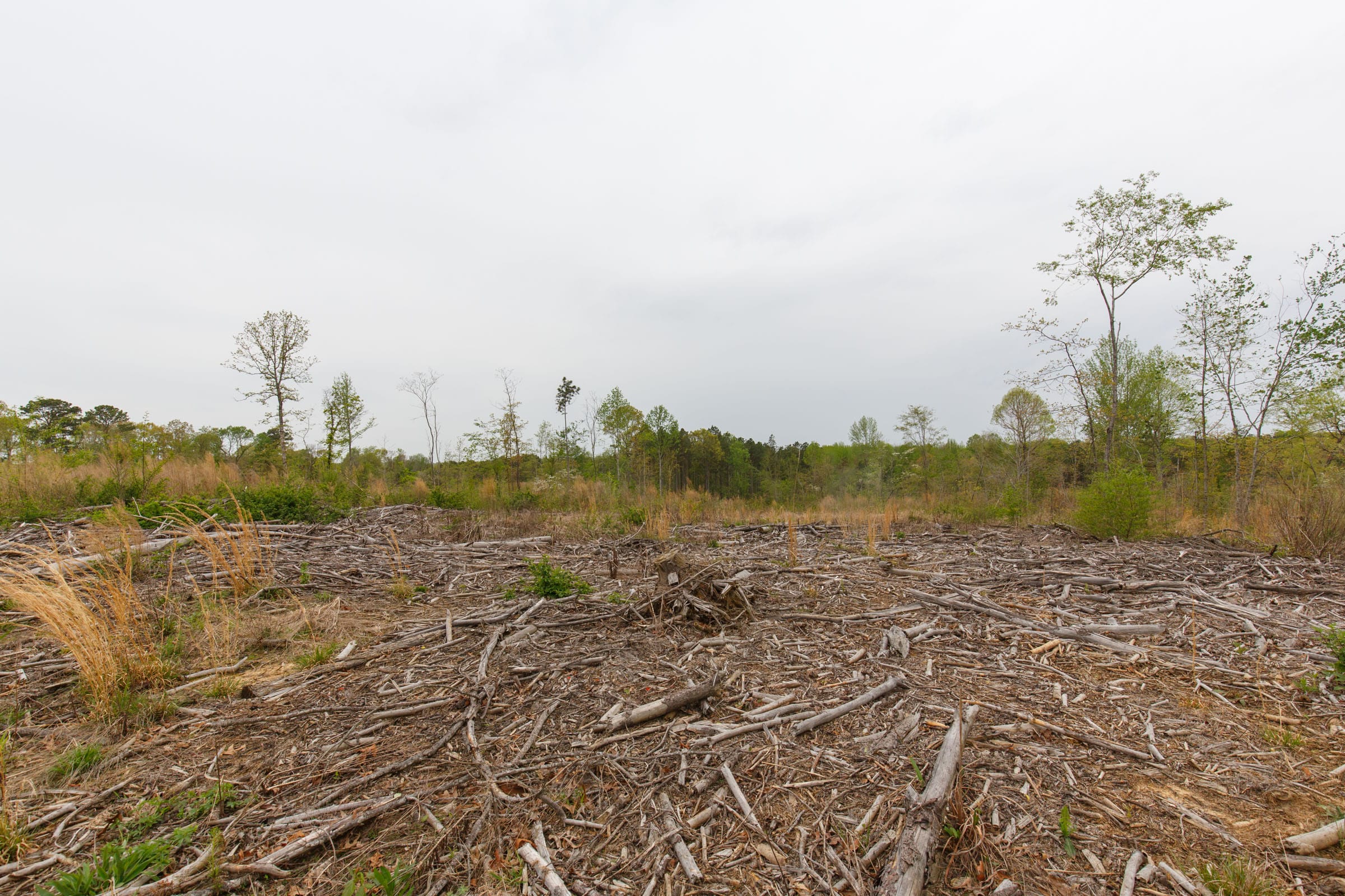 Twin Rivers Tract 24 photo 7