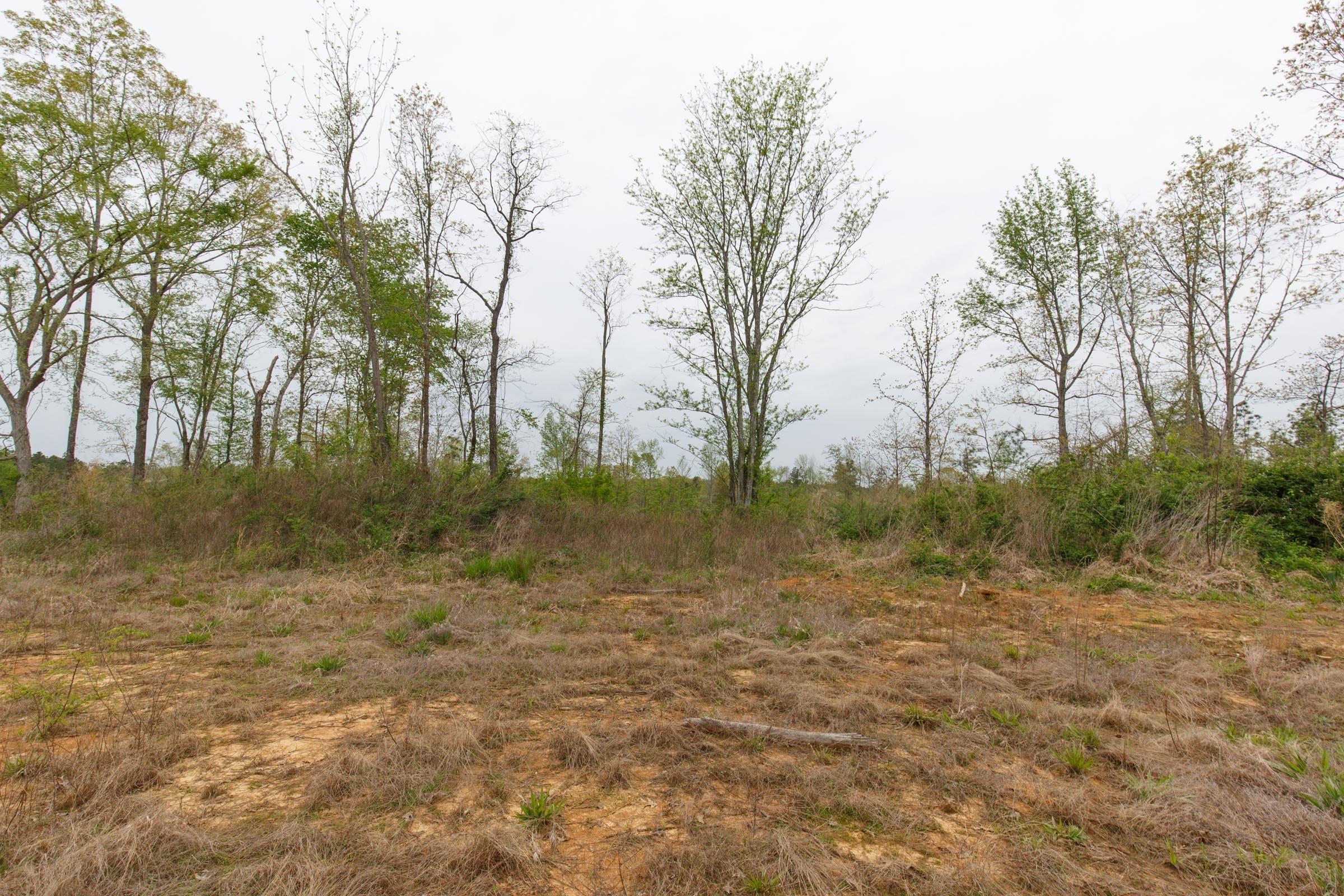 Twin Rivers Tract 24 photo 9