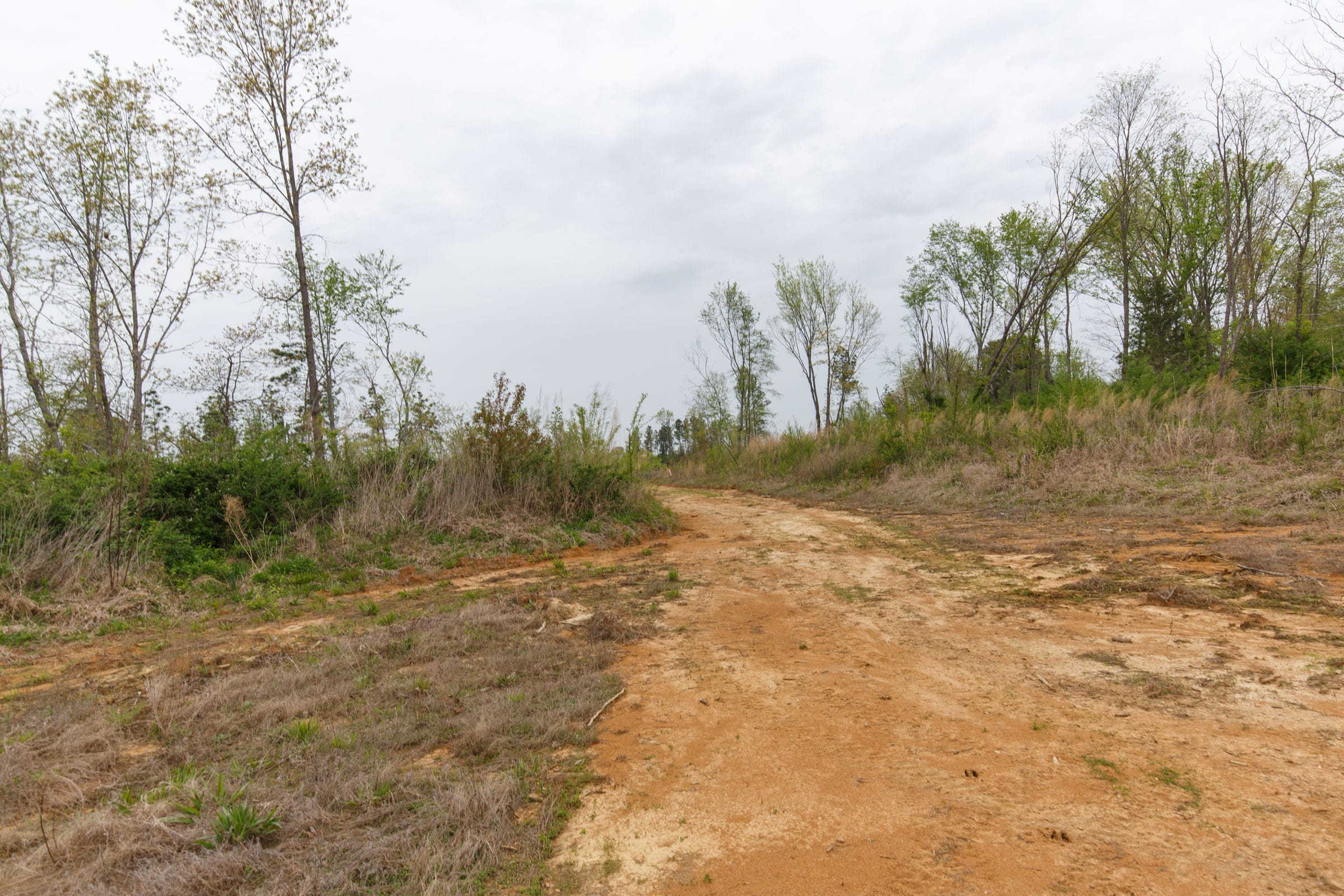 Twin Rivers Tract 24 photo 8