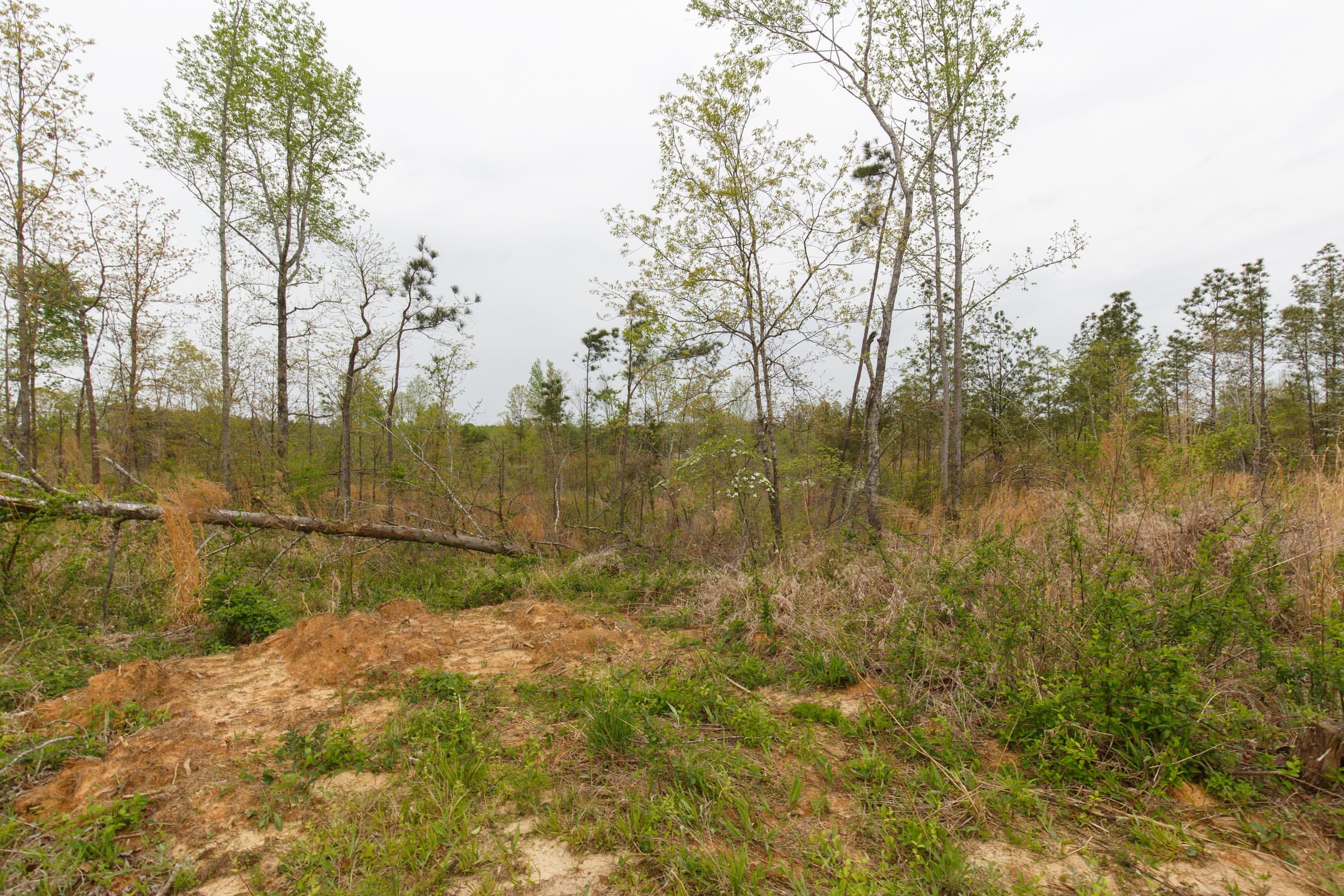 Twin Rivers Tract 24 photo 10