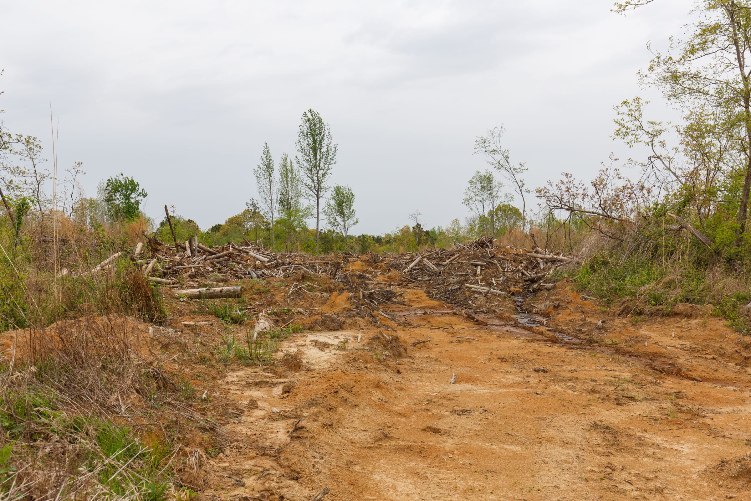 Twin Rivers Tract 24 photo 16