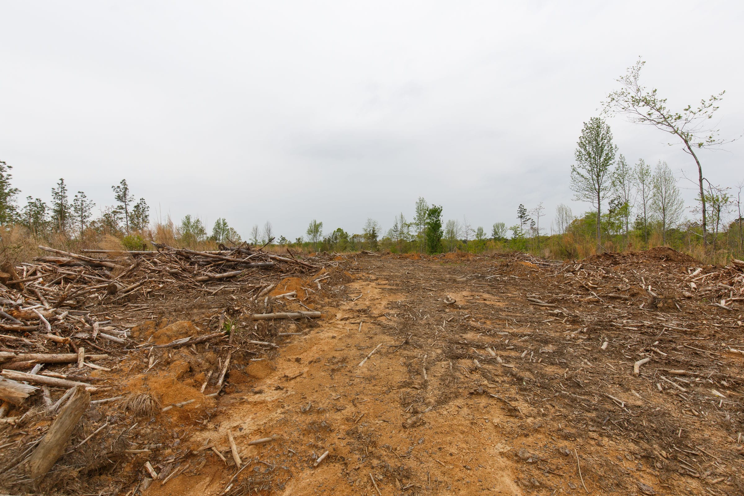 Twin Rivers Tract 24 photo 11