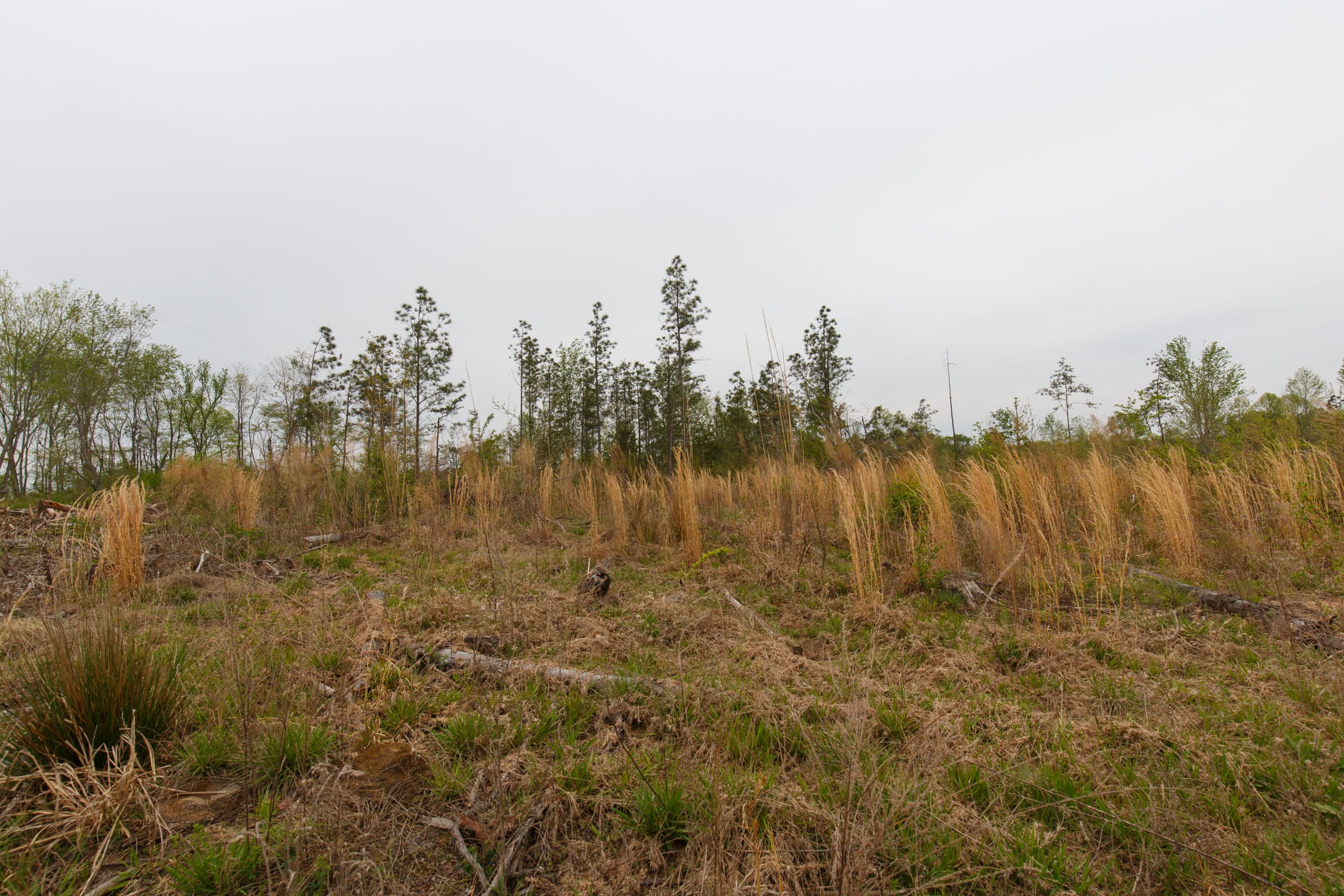 Twin Rivers Tract 24 photo 12