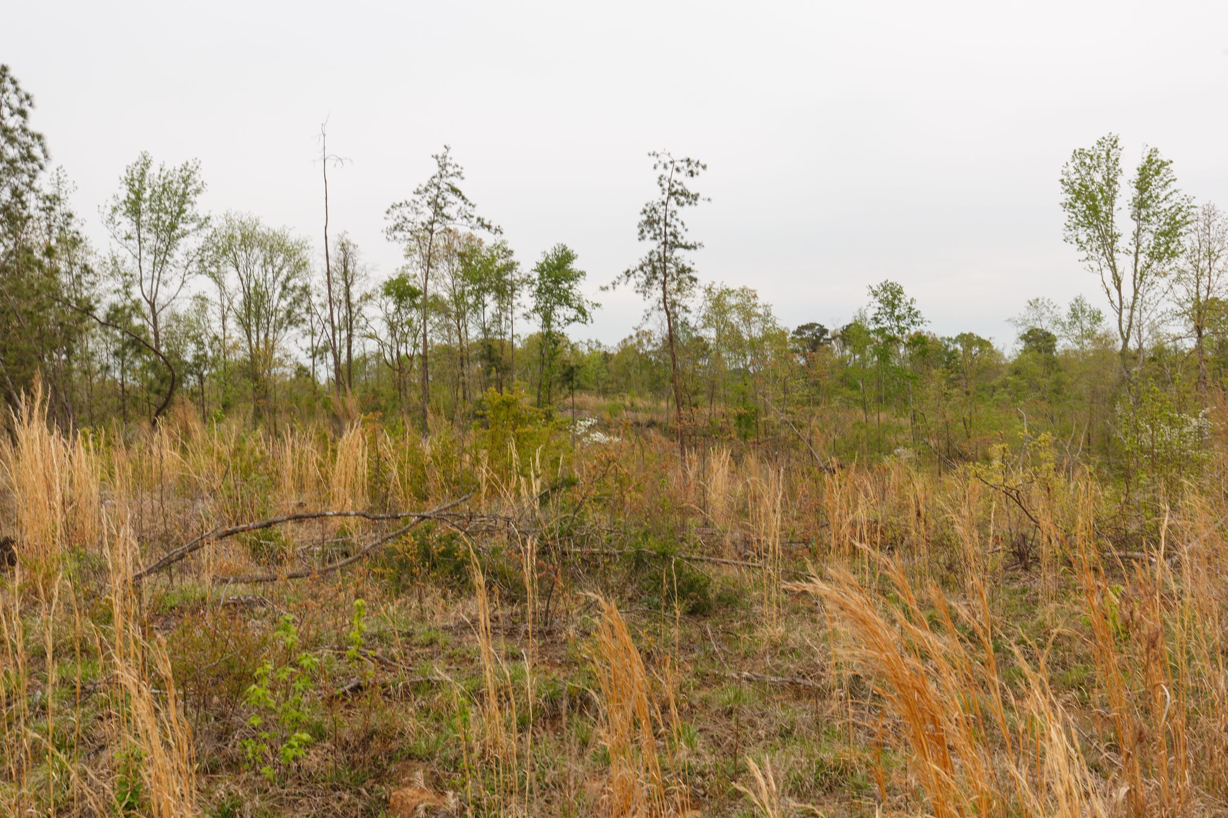 Twin Rivers Tract 24 photo 13
