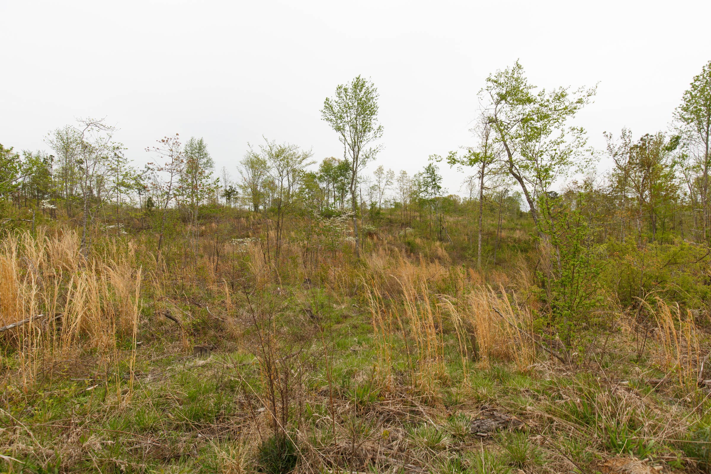 Twin Rivers Tract 24 photo 14