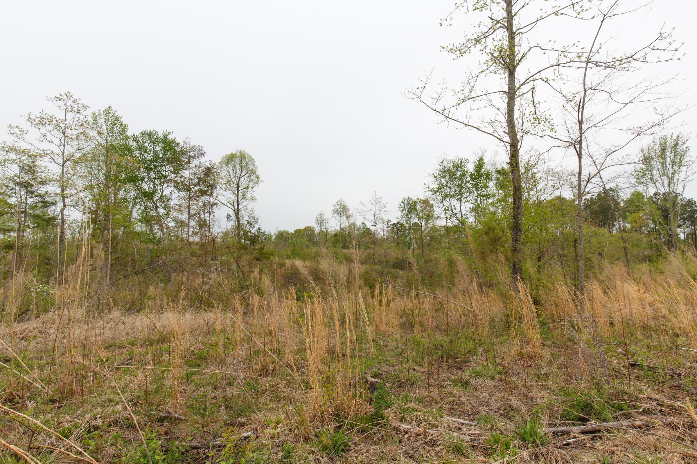 Twin Rivers Tract 24 photo 15