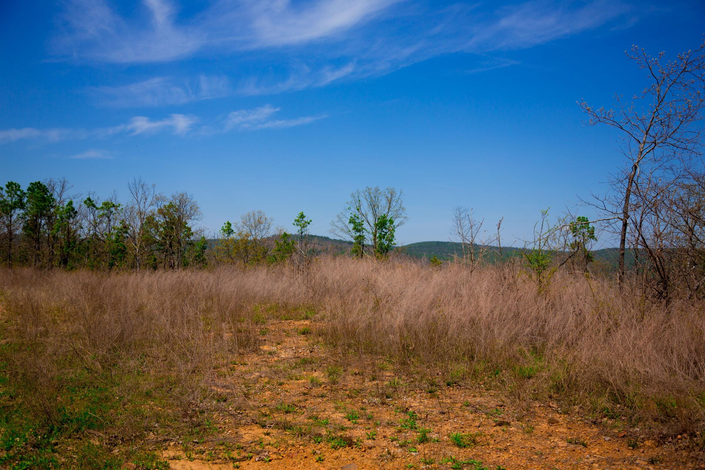 Stone Creek Phase II Tract 237 photo 10