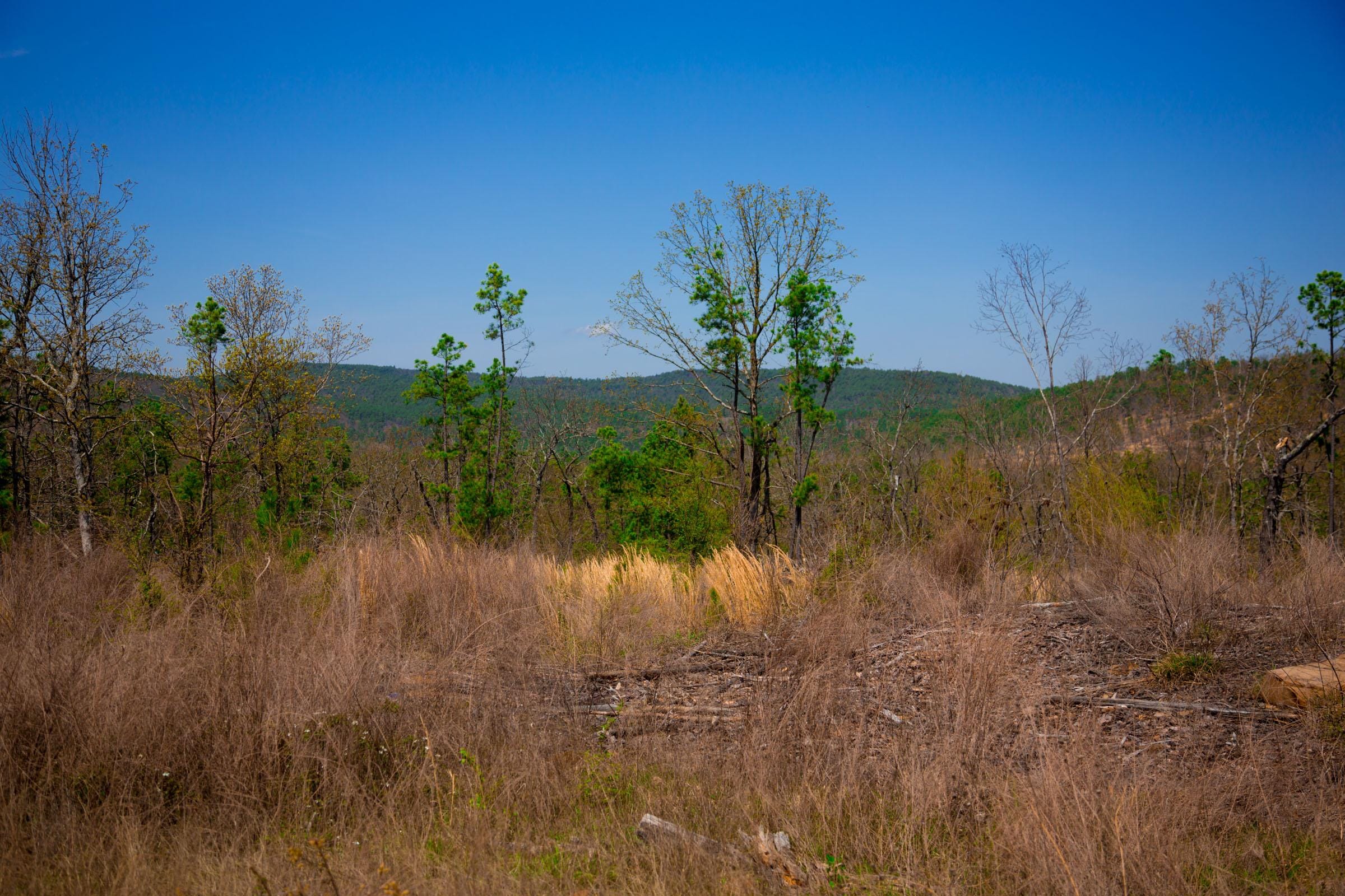 Stone Creek Phase II Tract 237 photo 11