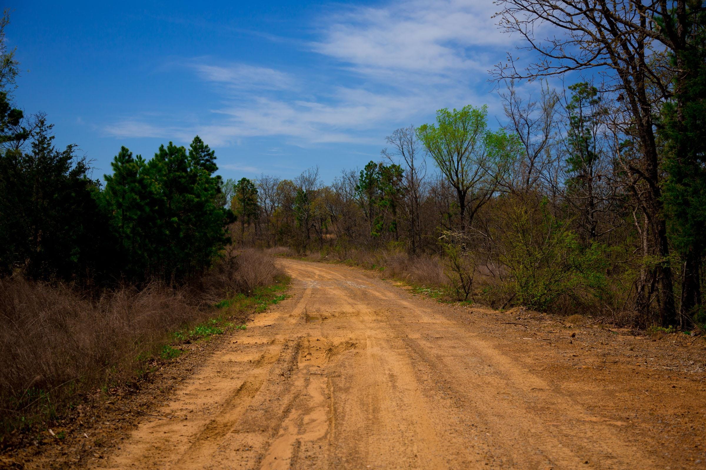 Stone Creek Phase II Tract 237 photo 12