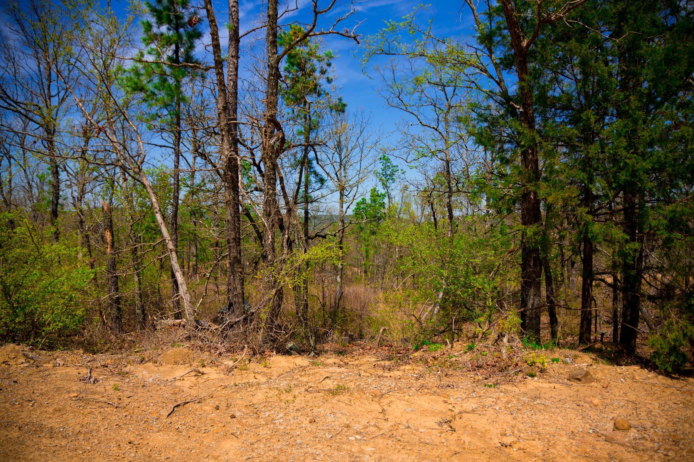 Stone Creek Phase II Tract 237 photo 13