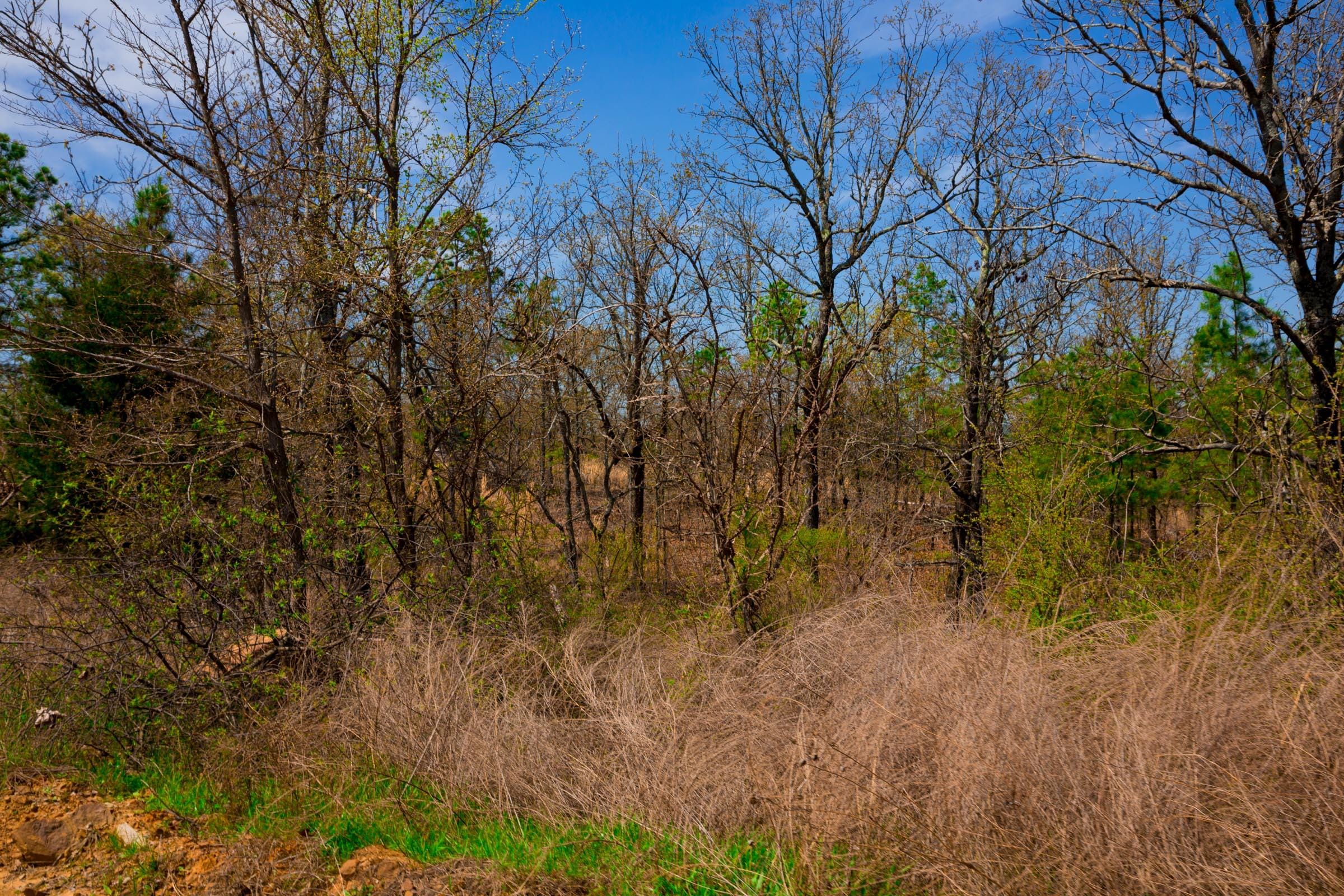 Stone Creek Phase II Tract 237 photo 15
