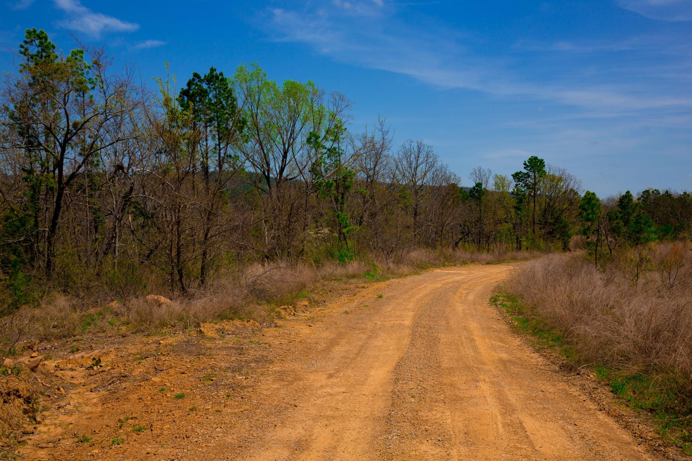 Stone Creek Phase II Tract 237 photo 16