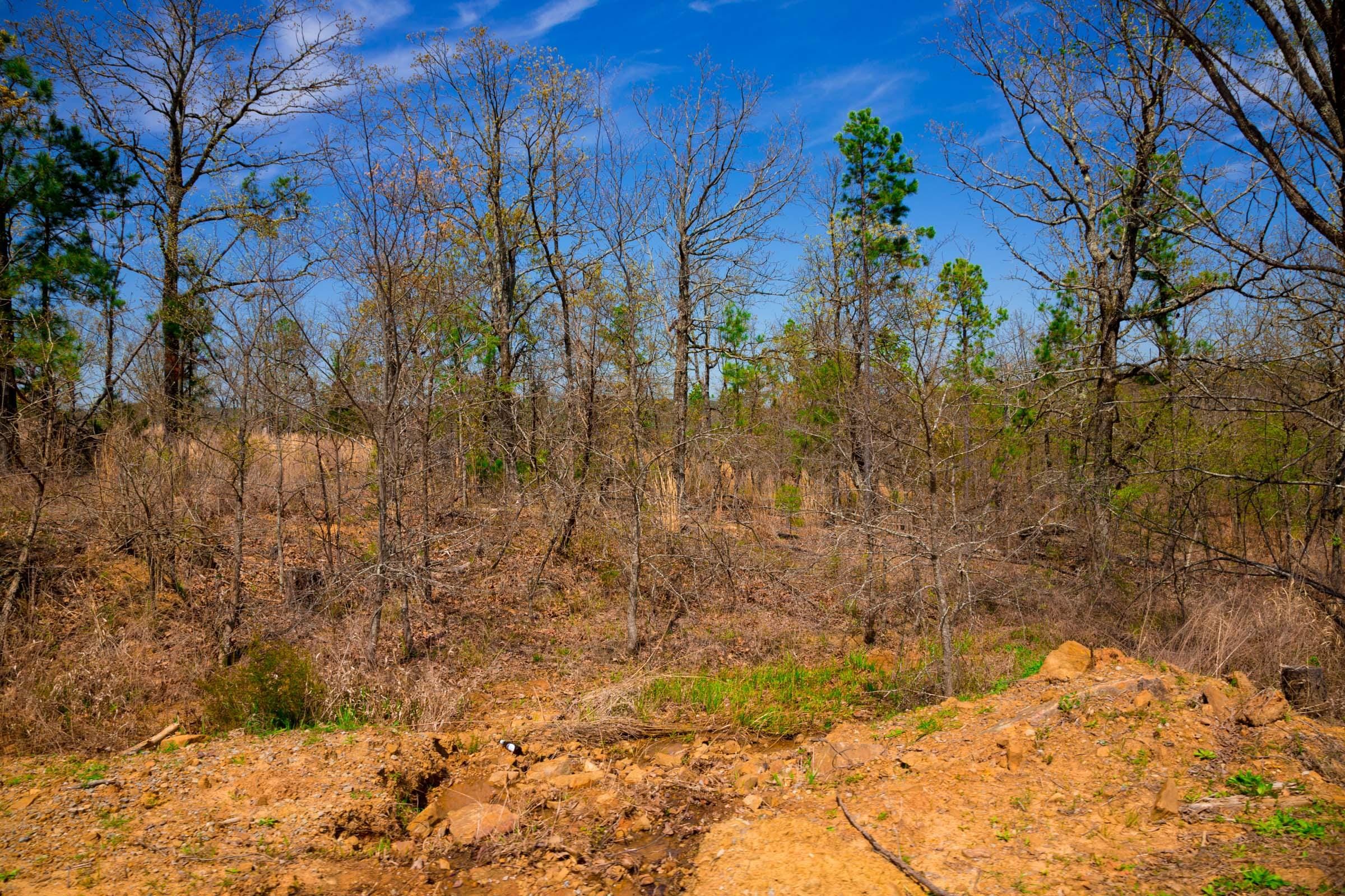Stone Creek Phase II Tract 237 photo 17