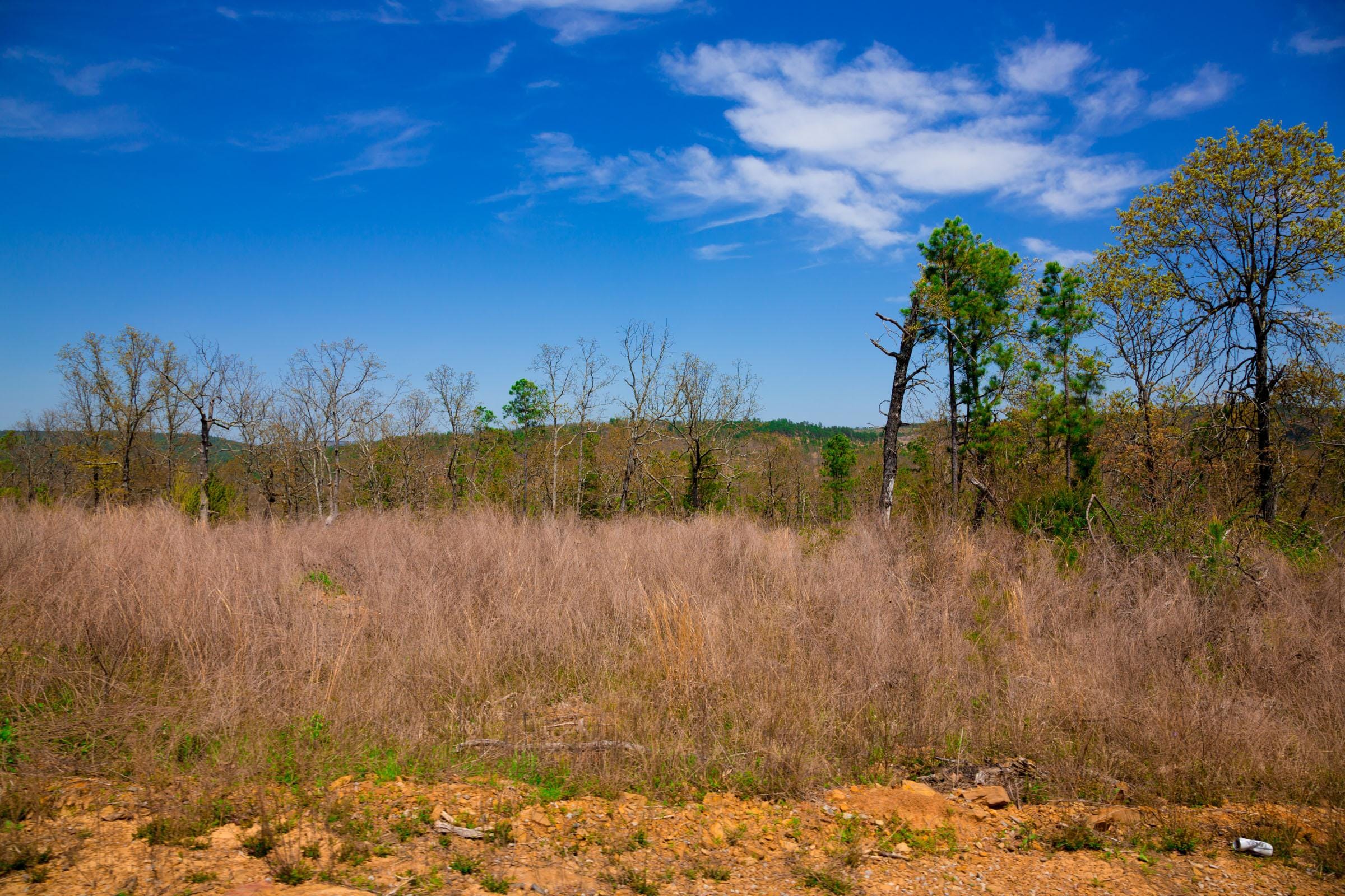 Stone Creek Phase II Tract 237 photo 18