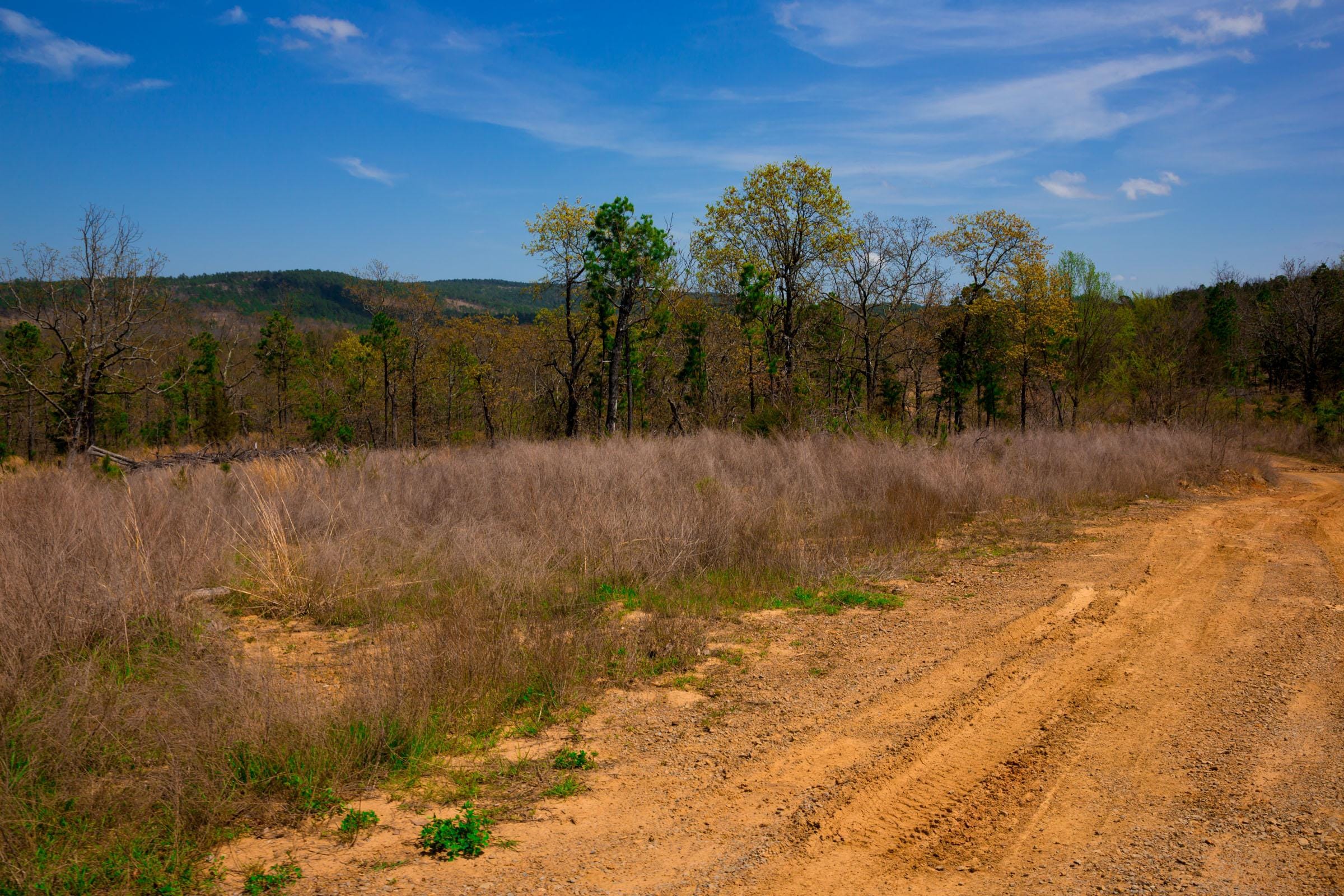 Stone Creek Phase II Tract 237 photo 19