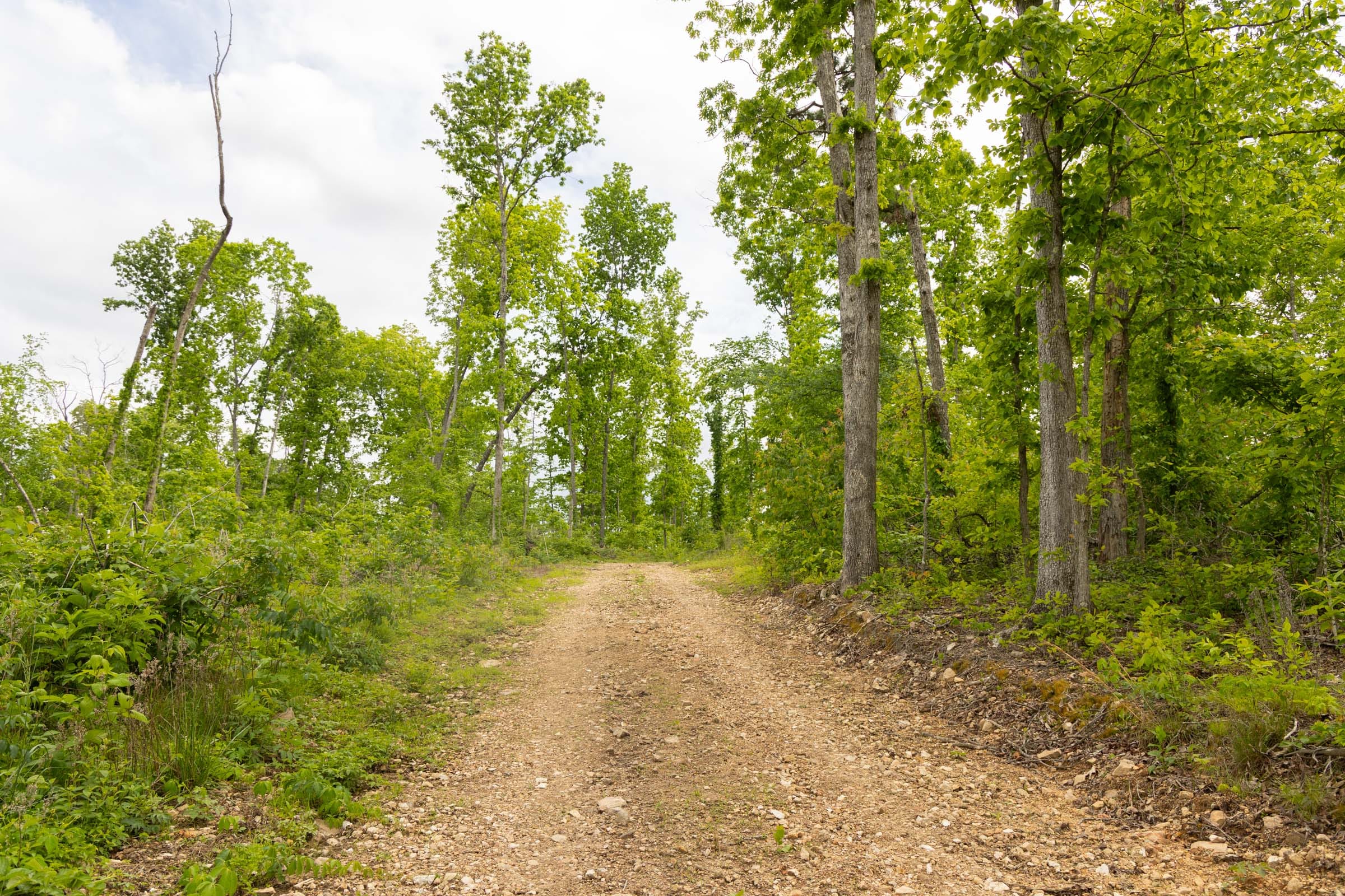 Stardust Estates Tract 6 photo 6
