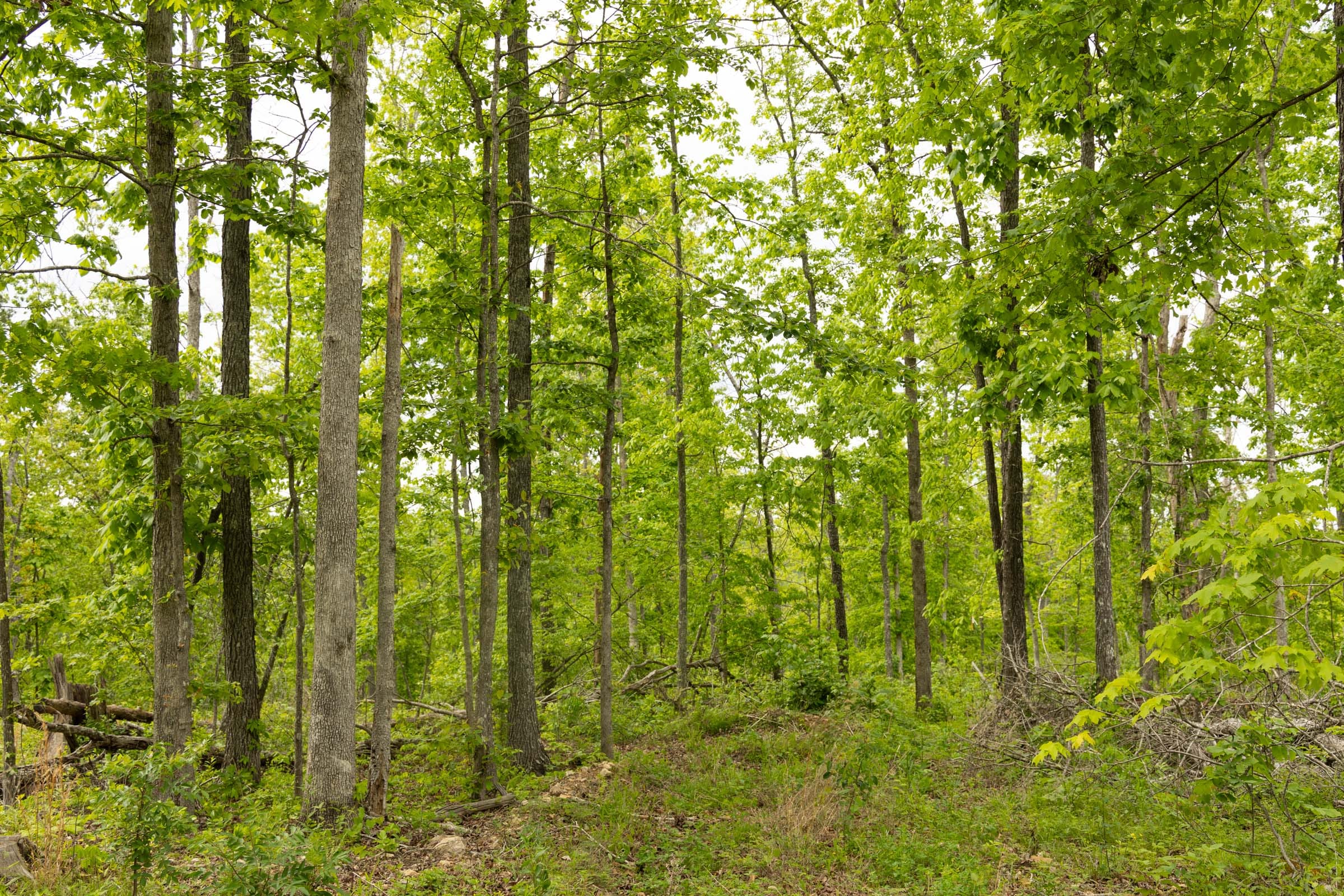 Stardust Estates Tract 6 photo 9