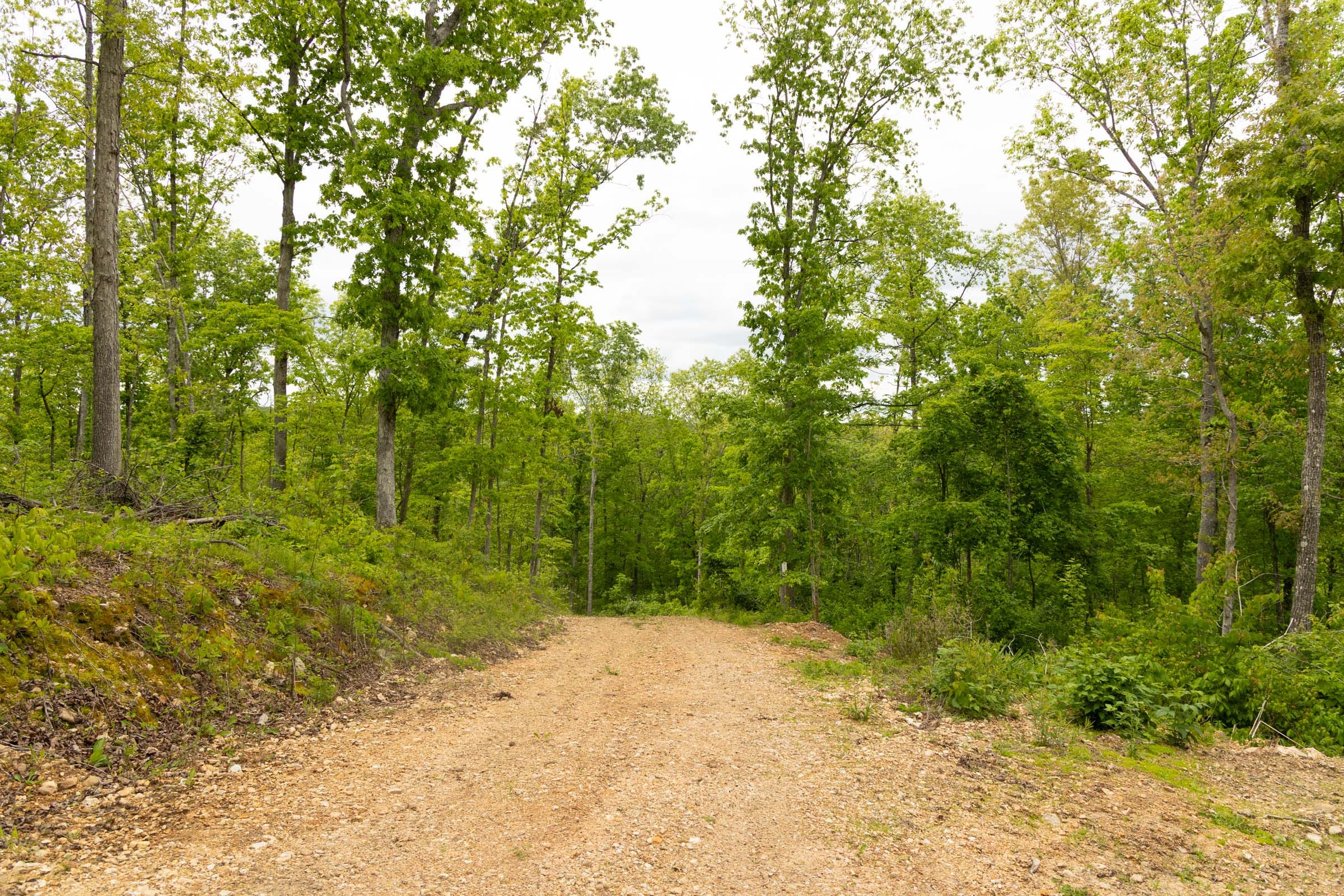 Stardust Estates Tract 6 photo 2