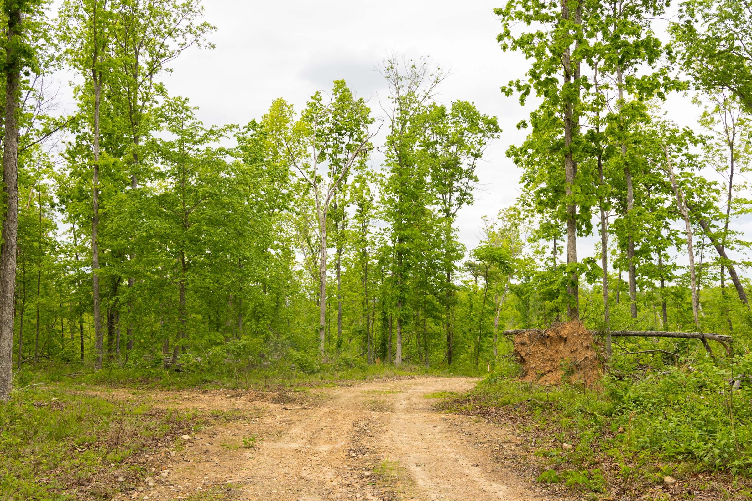 Stardust Estates Tract 6 photo 10