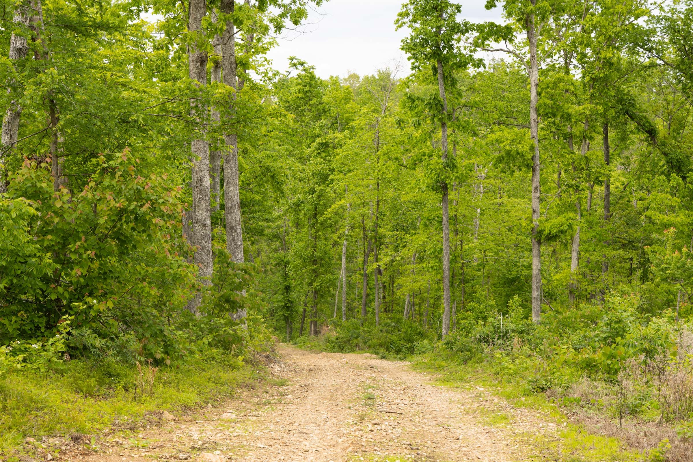 Stardust Estates Tract 6 photo 14