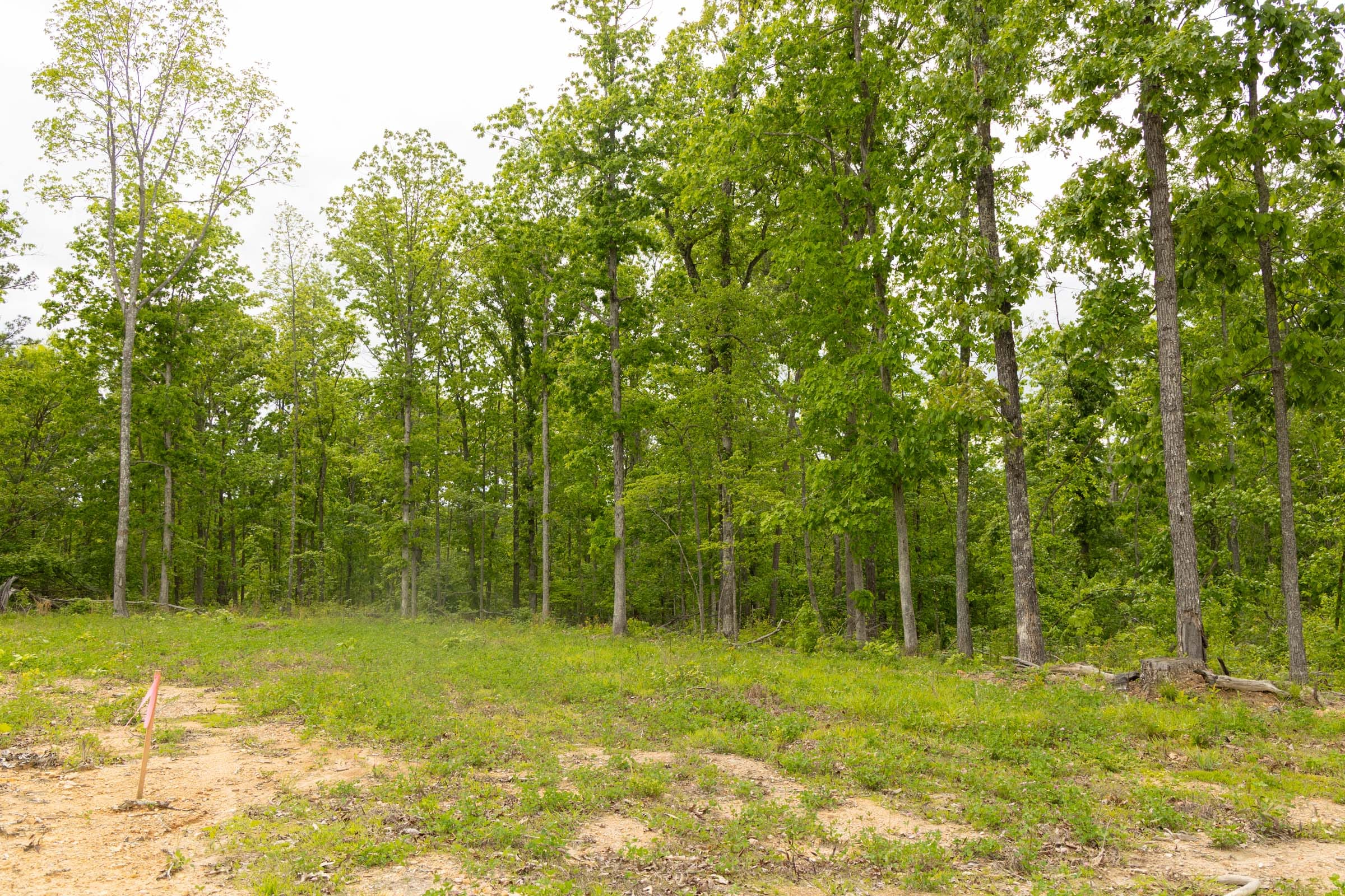 Stardust Estates Tract 6 photo 4