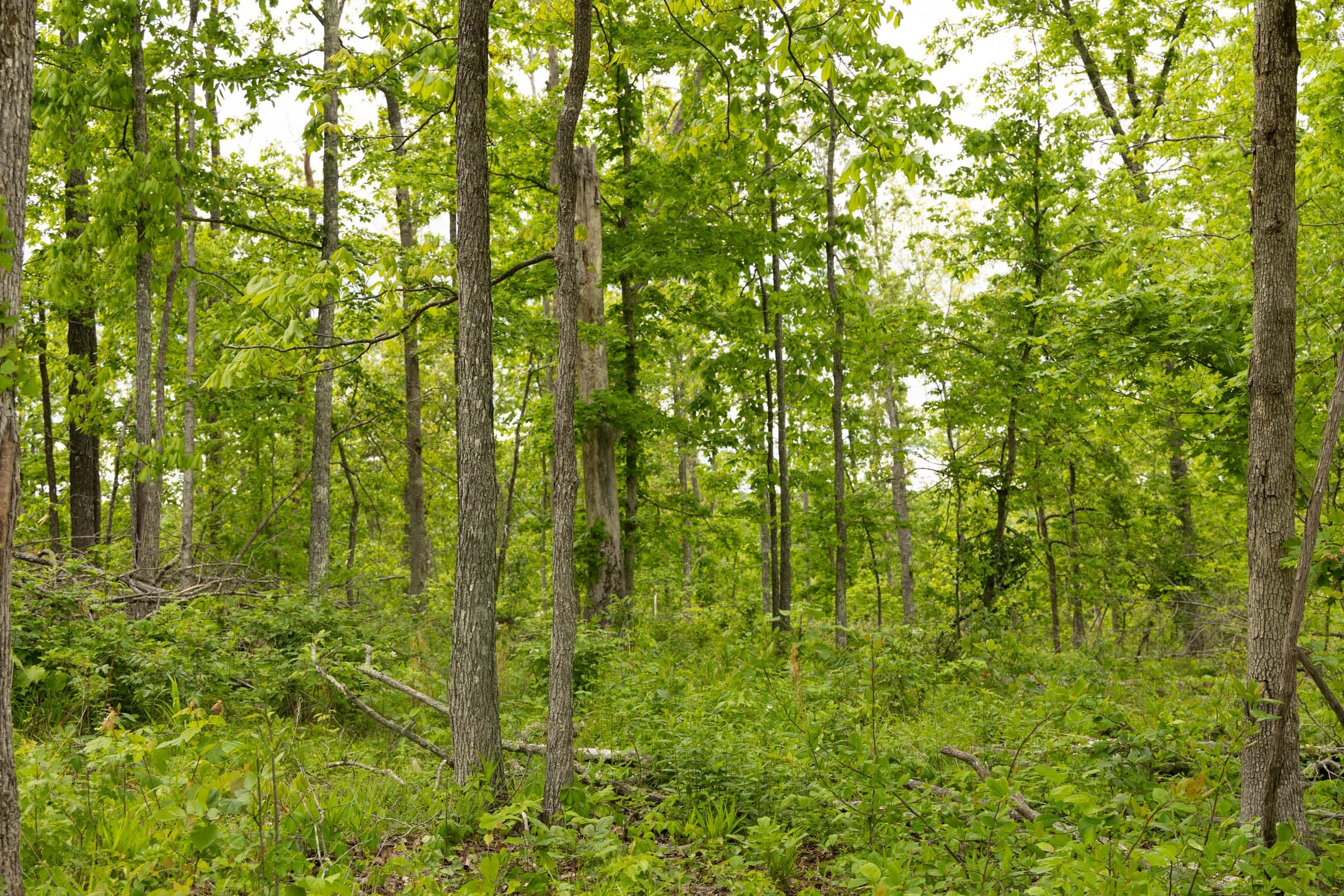 Stardust Estates Tract 6 photo 3