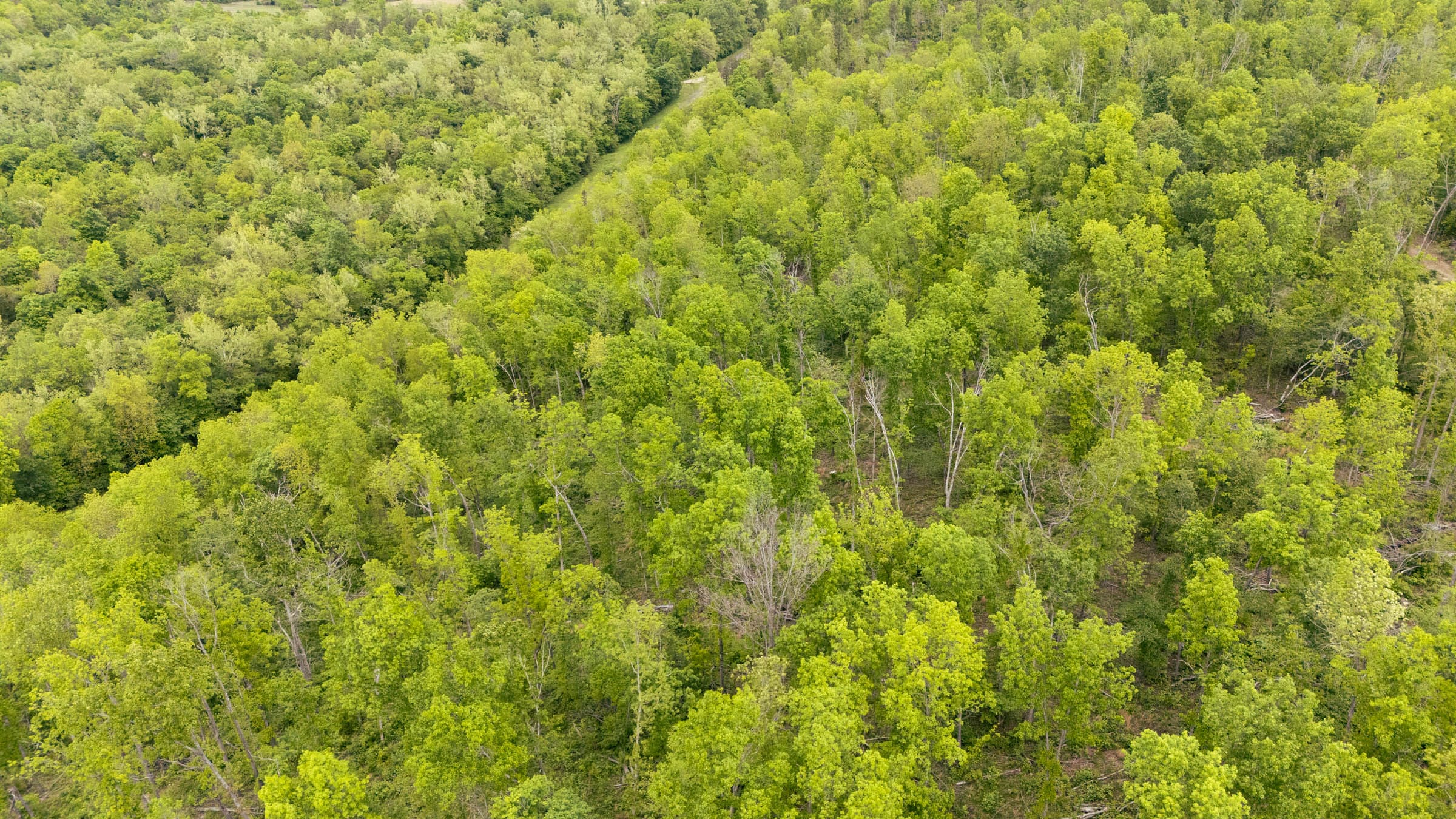 Stardust Estates Tract 6 photo 1