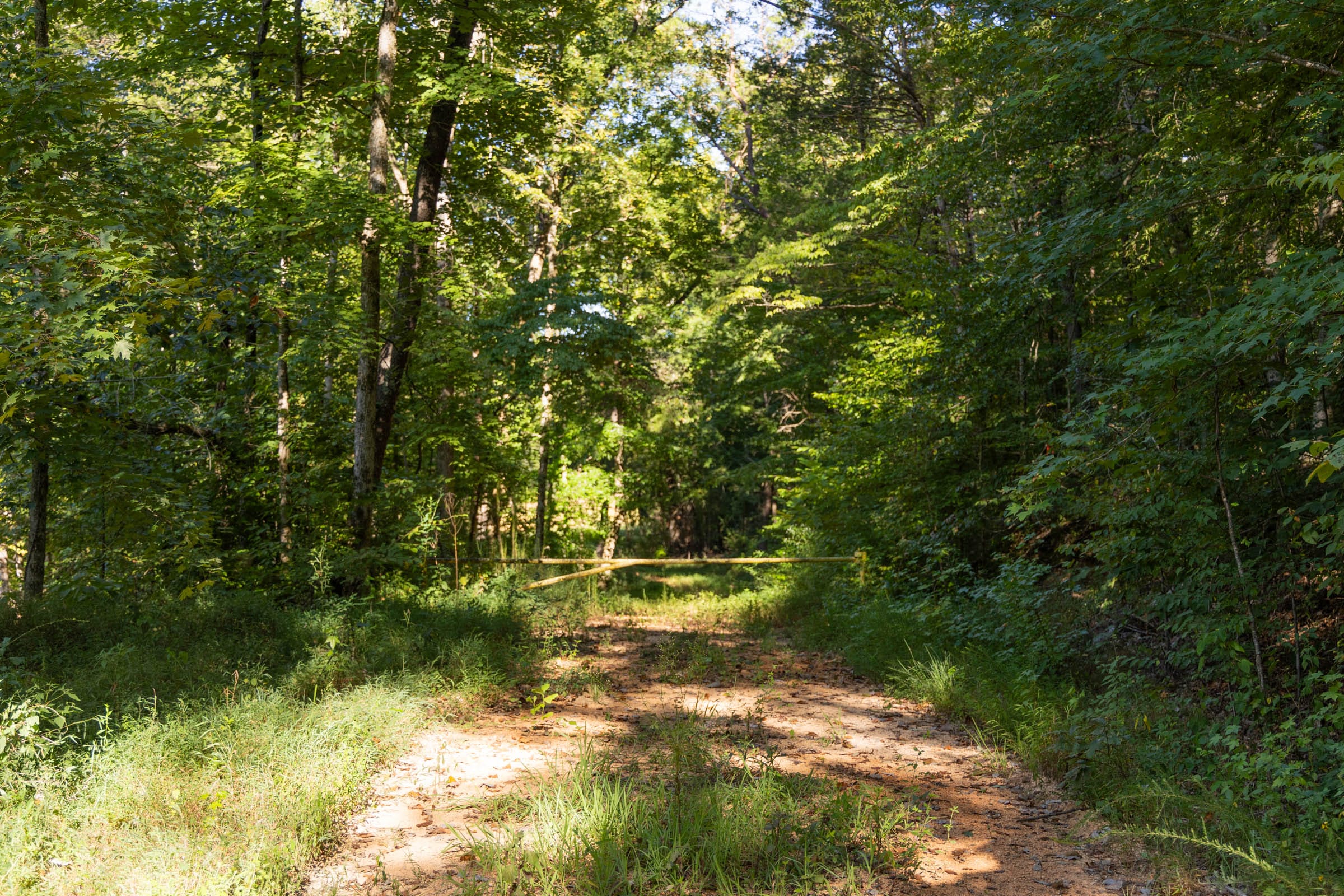 Big White Oak Tract 81 photo 10