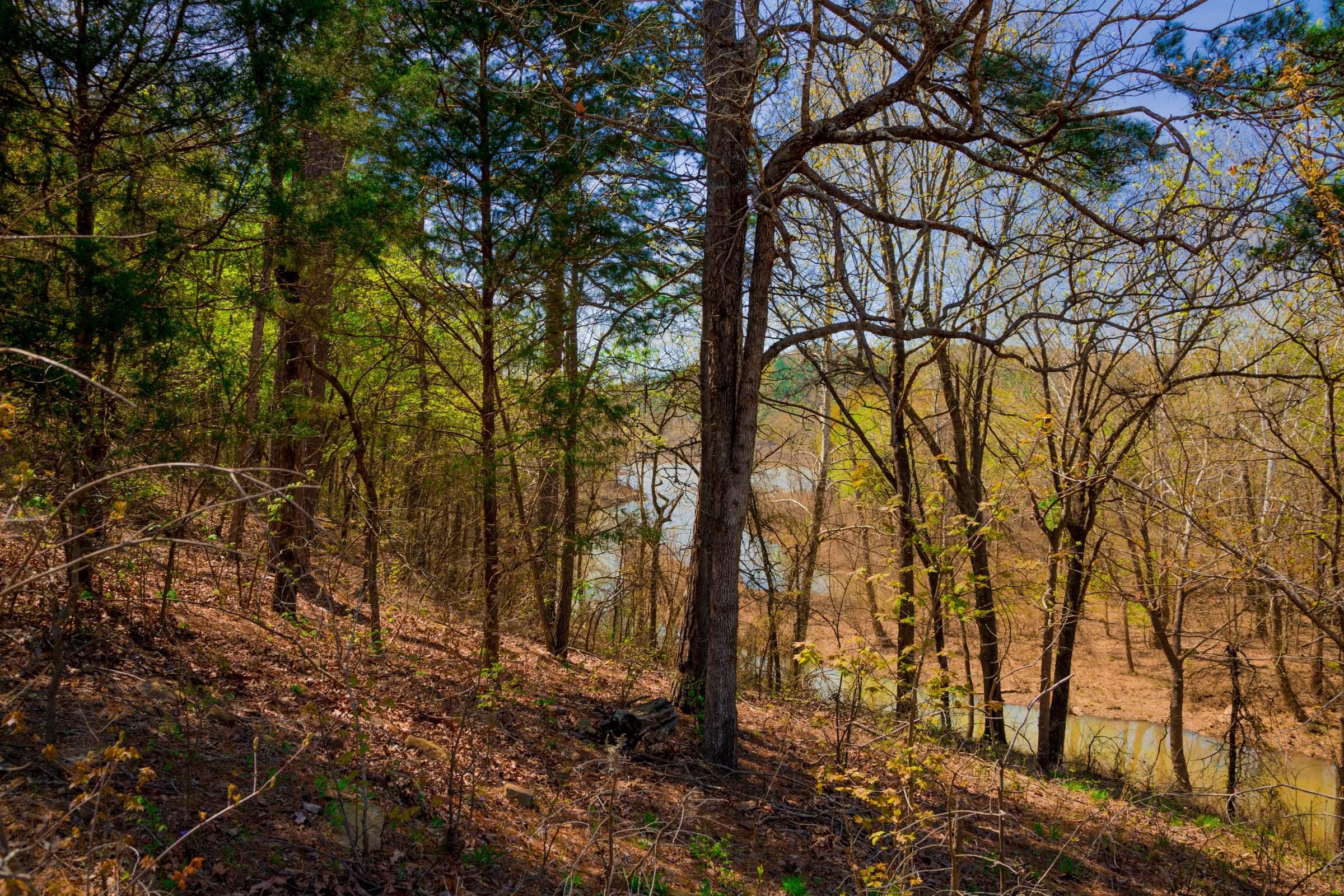 Stone Creek Phase II Tract 222 photo 8