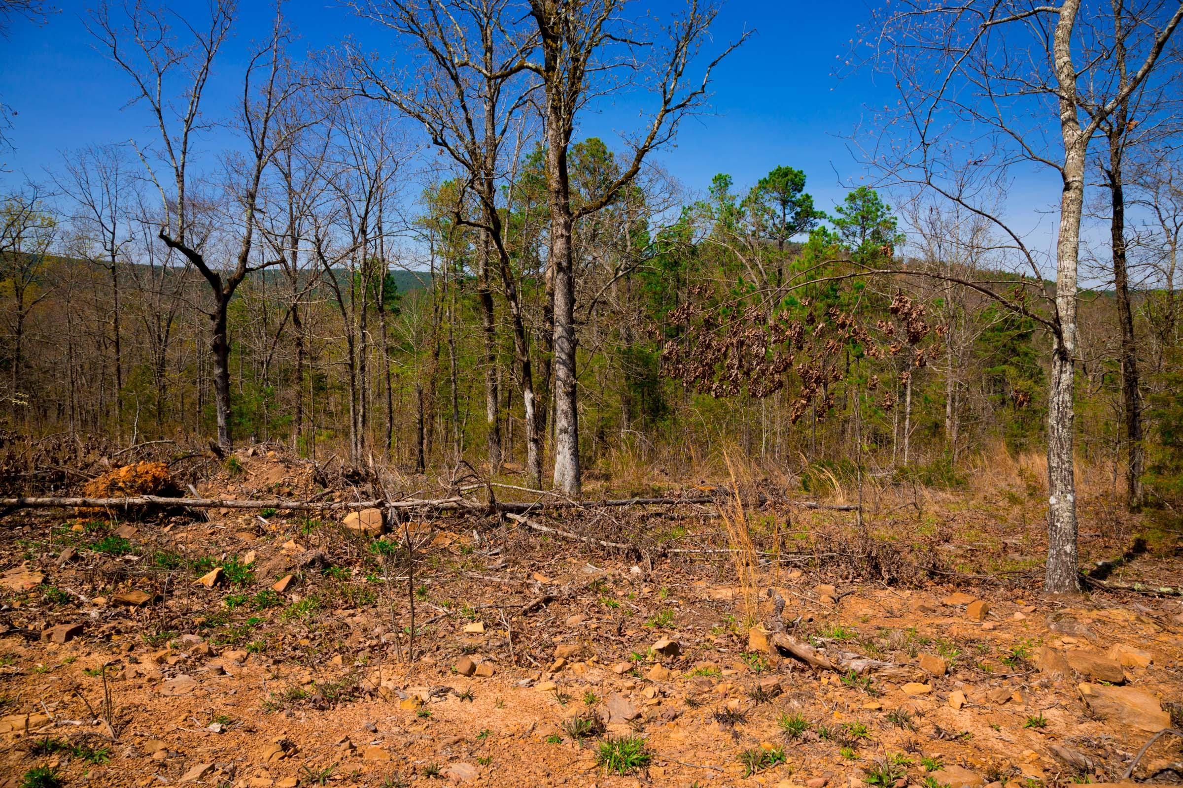 Stone Creek Phase II Tract 222 photo 9